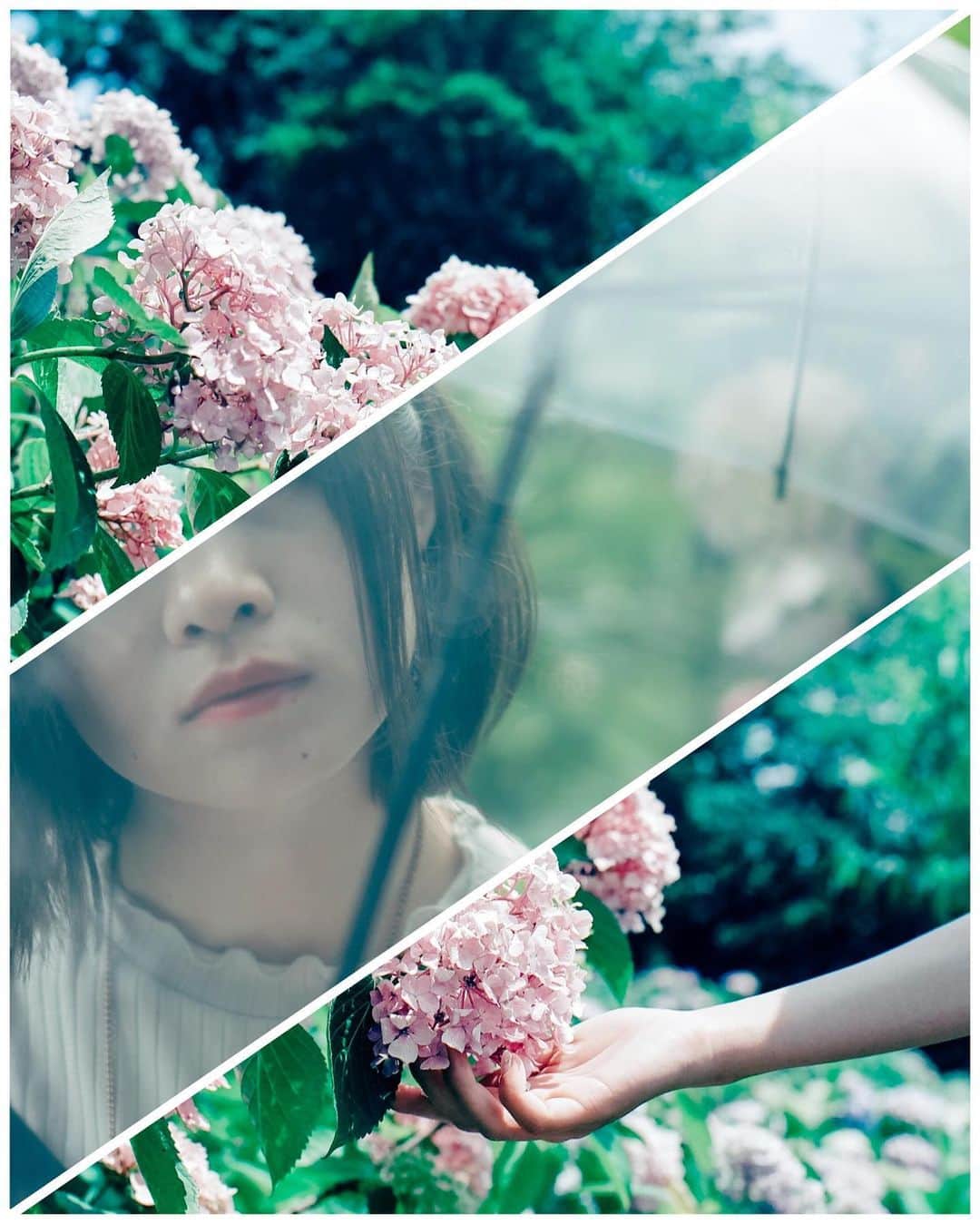 haraoのインスタグラム：「for a time - - - - - - camera：sony α7RⅢ／rolleiflex sl66 - - - 紫陽花を撮りに万博公園へ 花を撮るのが絶望的に苦手ですが、@rikuton022 さんのおかげで紫陽花いっぱい撮れました☺︎ - - - #万博公園 #紫陽花 #portrait #人像攝影 #外拍 #good_portraits_world #スクリーンに恋して #ポートレート撮影 #被写体募集」