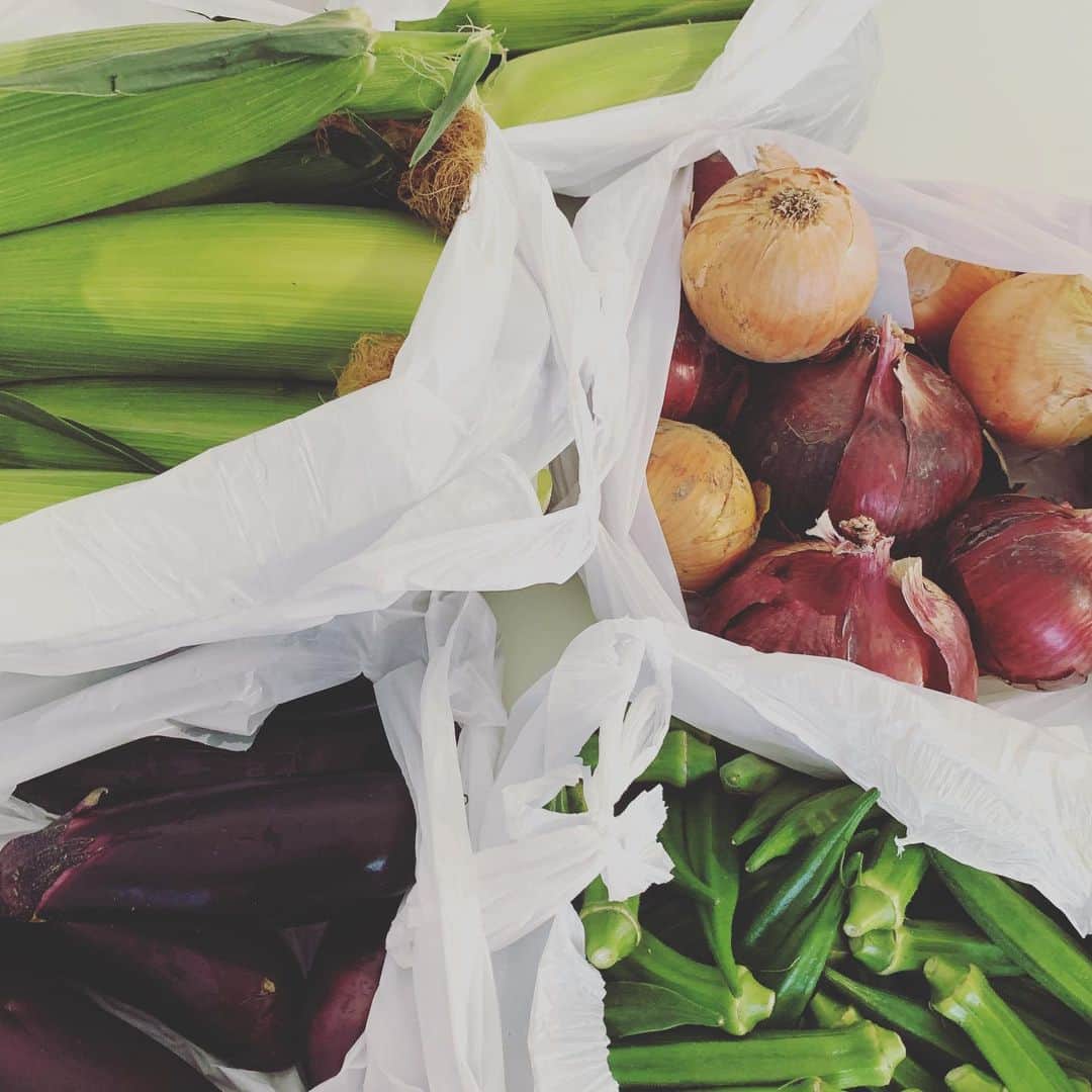ungrid_minamiのインスタグラム：「. @ashitafarm  地元の友達が大切に育てた野菜たち。 1人ではじめたのに、仲間が増えてたり畑がどんどん広がってて 本当尊敬しかない。👏✨すごい！！ . #地元#友達#農業#農家」