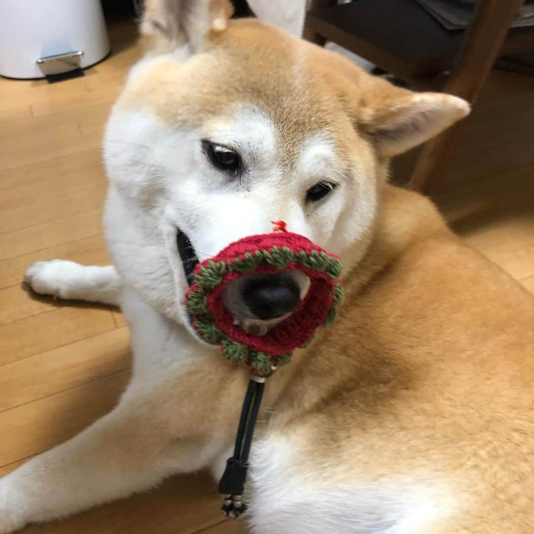 こなつさんのインスタグラム写真 - (こなつInstagram)「お揃いのイチゴ🍓🍓 イチゴのブレスレット」6月13日 20時48分 - makonatu