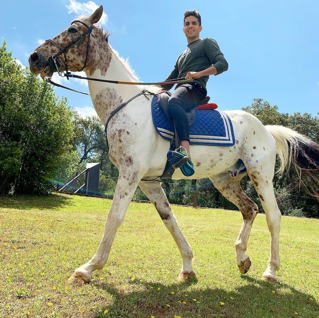 マルク・バルトラさんのインスタグラム写真 - (マルク・バルトラInstagram)「“Los caballos inspiran felicidad, fuerza, libertad y honestidad. Valores indispensables para progresar en la vida”. 🐎😍 #Horse #love #holidays」6月13日 21時08分 - marcbartra