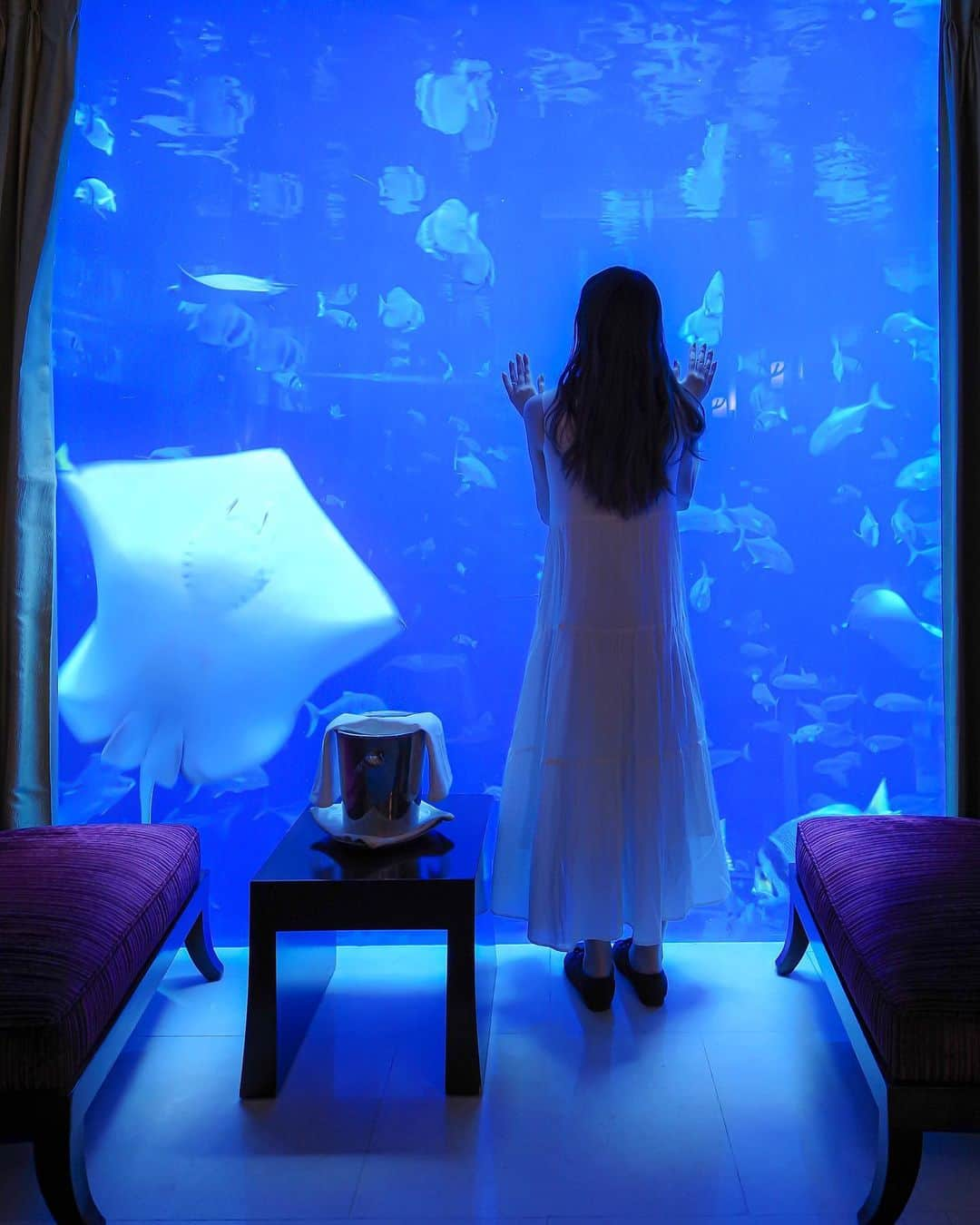 田島知華さんのインスタグラム写真 - (田島知華Instagram)「【UAE🇦🇪Dubai】Everybody thinks that it is an aquarium, but here is a room. Unbeliebable, right? You can meet awesome views at “Atlantis The Palm”. 🐬  水族館？…と思いきや、ここはホテルの部屋。 かの有名なドバイのホテル「Atlantis The Palm(アトランティス・ザ・パーム)」にあるスイートルームのひとつ。  Under Water Suiteという名前の客室なだけあって、まるで海の中にいるみたい。ベッドからもバスタブからも魚が泳ぐ姿を見られます。(スライド3枚目の動画がわかりやすいかも)  信じられないくらいの素晴らしい部屋にうっとり。 夢を見ているような気分で最高に幸せでした…♡ Copyright © TAJIHARU  PENTAX K-1 MarkⅡ  HD PENTAX-D FA 15-30mmF2.8ED SDM WR DJI Osmo Pocket _ #たじはるトリップ #TAJIHARU_uae #アラブ首長国連邦 #ドバイ #アトランティスザパーム #中東 #unitedarabemirates #uae #abudhabi #dubai #atlantisthepalm #underwatersuite #visitdubai #wonderful_places #beautifuldestinations #beautifulmatters #femmetravel #beautifulplace #earthpix #discoverglobe #discoverearth」6月13日 21時03分 - haruka_tajima