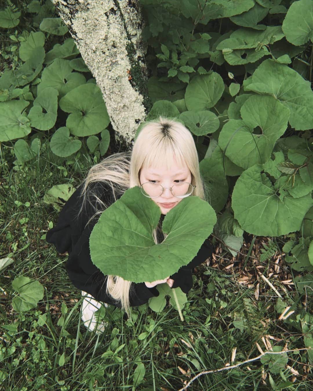フェルナンダ・リーのインスタグラム：「🍀🍀☘☘🌱🌿🌱」
