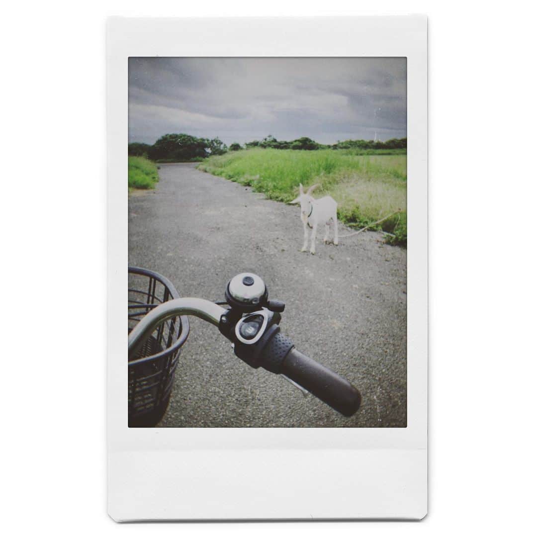 西村若奈さんのインスタグラム写真 - (西村若奈Instagram)「おでこ。」6月13日 21時48分 - misstodai201805