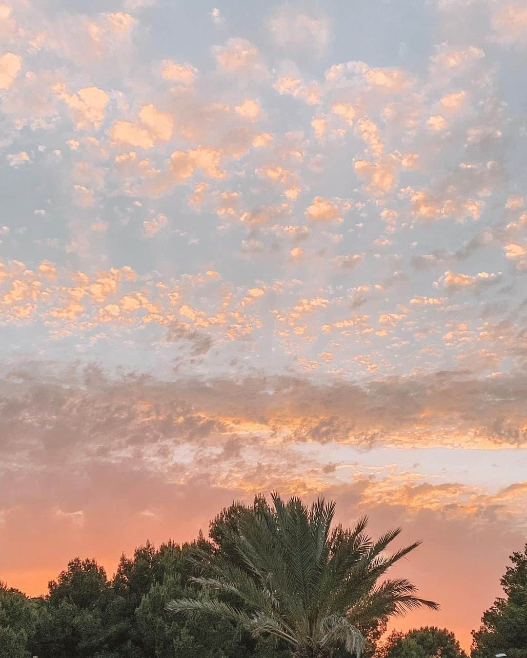 ロッティー・トムリンソンさんのインスタグラム写真 - (ロッティー・トムリンソンInstagram)「candy floss skies ☁️」6月13日 22時08分 - lottietomlinson