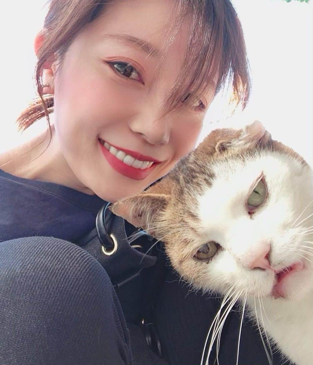 安藤志穂美さんのインスタグラム写真 - (安藤志穂美Instagram)「この猫の目付きやばくないですか？ うちのシェルターに住み着いてる野良猫で、名前はエリザベス♂ 見た目はマフィアなんですが、ほんとは甘えん坊でとにかく賢い子🐈  #cat #shelter #volunteer #野良猫 #保護猫 #仲良し #猫」6月13日 22時11分 - shiomi_ando