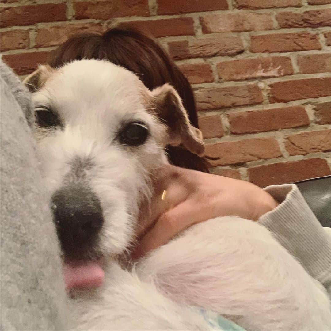 風間ゆみえのインスタグラム：「たまらないのです 帰国後マイロと🐶👧 #mairotkhm」
