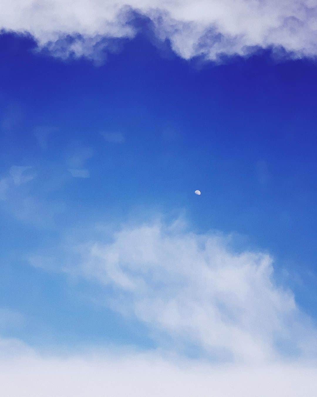 リウ・ウェンのインスタグラム：「#WenInFlight」