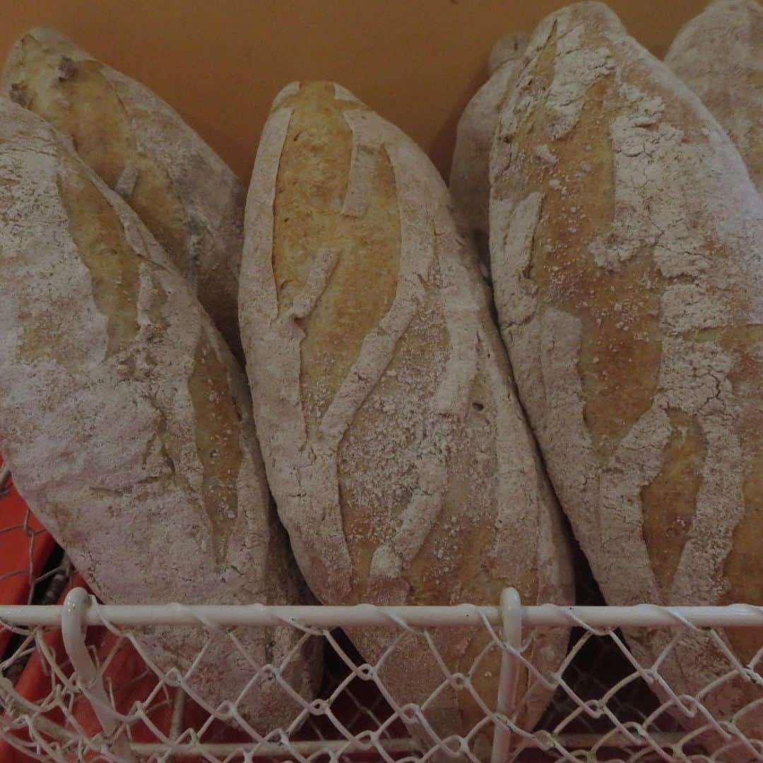 魔女菅原のグルメインスタ