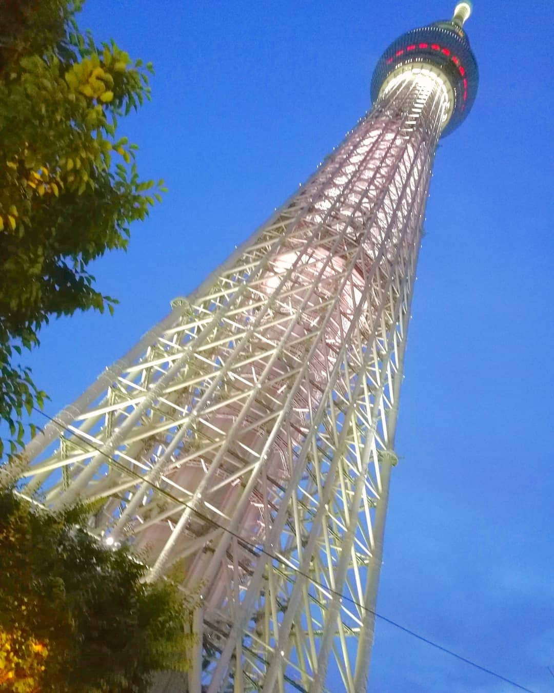 Moco Lima Hawaiiさんのインスタグラム写真 - (Moco Lima HawaiiInstagram)「Neon Palm Tree Tote, Made By Moco #skytree#tokyo#night#japan#romantic#tower#sky#friends#bestfriend#photoshoot#photography#light#up#mocolima#hawaii#mylife#workhard#workhardplayharder#lovemyjob#lucky#happy#nevergiveup#モコリマハワイ#東京#スカイツリー#ライトアップ#夜  Mocolima Showroom 13:00-18:00 今日も元気に営業中！　ぜひお立ち寄り下さいませ〜♡　皆さまにお会いできますのをワクワクしてお待ち致しております♡」6月14日 10時20分 - mocolimahawaii