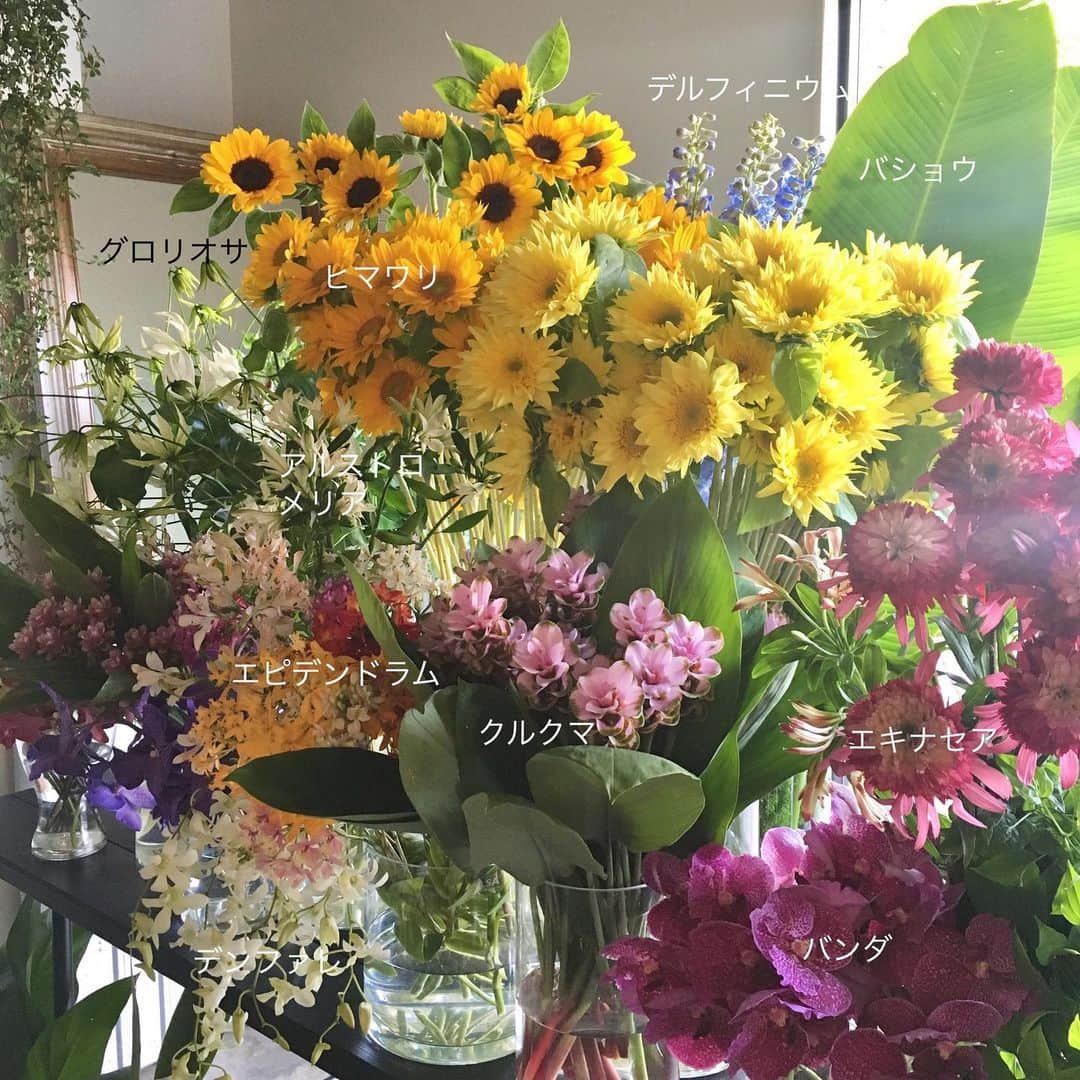 雑誌『花時間』さんのインスタグラム写真 - (雑誌『花時間』Instagram)「おはようございます。「お花屋さんにも夏がやってきた」を昨日、実感してきました。これは東京・駒込の『HANAKAGO』さんで撮影用にセッティングしていただいた夏の花屋さんシーン。ヒマワリ、クルクマ、金魚みたいな？エキナセア…。（金魚かどうかは２枚目のpicをご覧あれ）。夏の花は、溢れんばかりのパワーで私たちに元気を注いでくれます。カラフルっていいなぁと久々に実感した一日でした。みなさんも、週末のリフレッシュのために、お花屋さんへGO！🏃‍♀️🏃‍♀️🏃‍♀️しませんか〜？ では、本日も元気smile😊😊😊で頑張りましょう。by ピーターパン  花屋さん @huakago  #hana #flower #flowers #flowerslovers #flowerstagram #fcolorful  #花時間 #花時間2019 #花好き #花藝 #花好きな人と繋がりたい #花が好きな人と繋がりたい #花のある生活 #花のある暮らし #夏の花 #夏が来た  #カラフルな花 #花屋さんへ行こう」6月14日 9時28分 - hanajikan_magazine