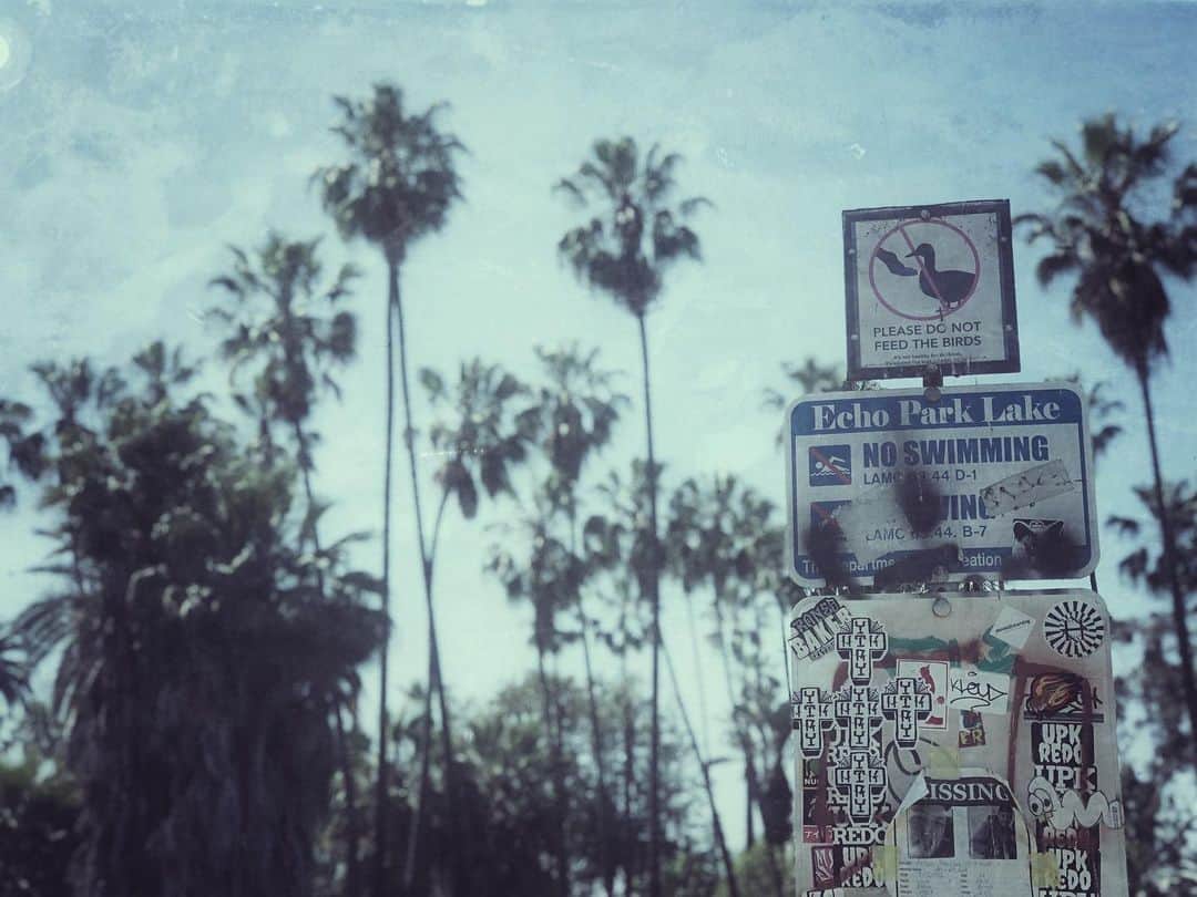 ジョン・ロス・ボウイさんのインスタグラム写真 - (ジョン・ロス・ボウイInstagram)「#echopark #snapseed」6月14日 9時40分 - johnrossbowie