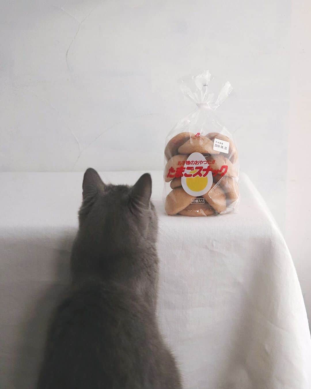 樋口正樹さんのインスタグラム写真 - (樋口正樹Instagram)「Tamago snack . たまごスナック。 懐かしく素朴な 風味の菓子パン。 子供のおやつに 牛乳とご一緒に。 . . 🌧お知らせ🌧 6月15日(土)に開催を予定してたタカキベーカリー広島工場パンまつりは、大雨警報発令の可能性があるため、安全を考慮し中止となりました。 👉@takaki_bakery_official . . . #たまごスナック #甘食 #菓子パン #タカキベーカリー #パンまつり #パン祭り #広島 #安芸区 #カープ女子 #カープファン」6月14日 9時37分 - higuccini