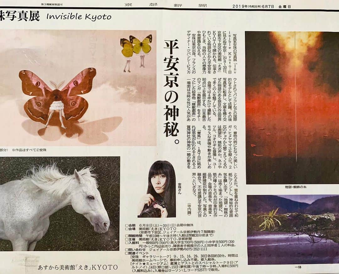 安珠のグルメインスタ