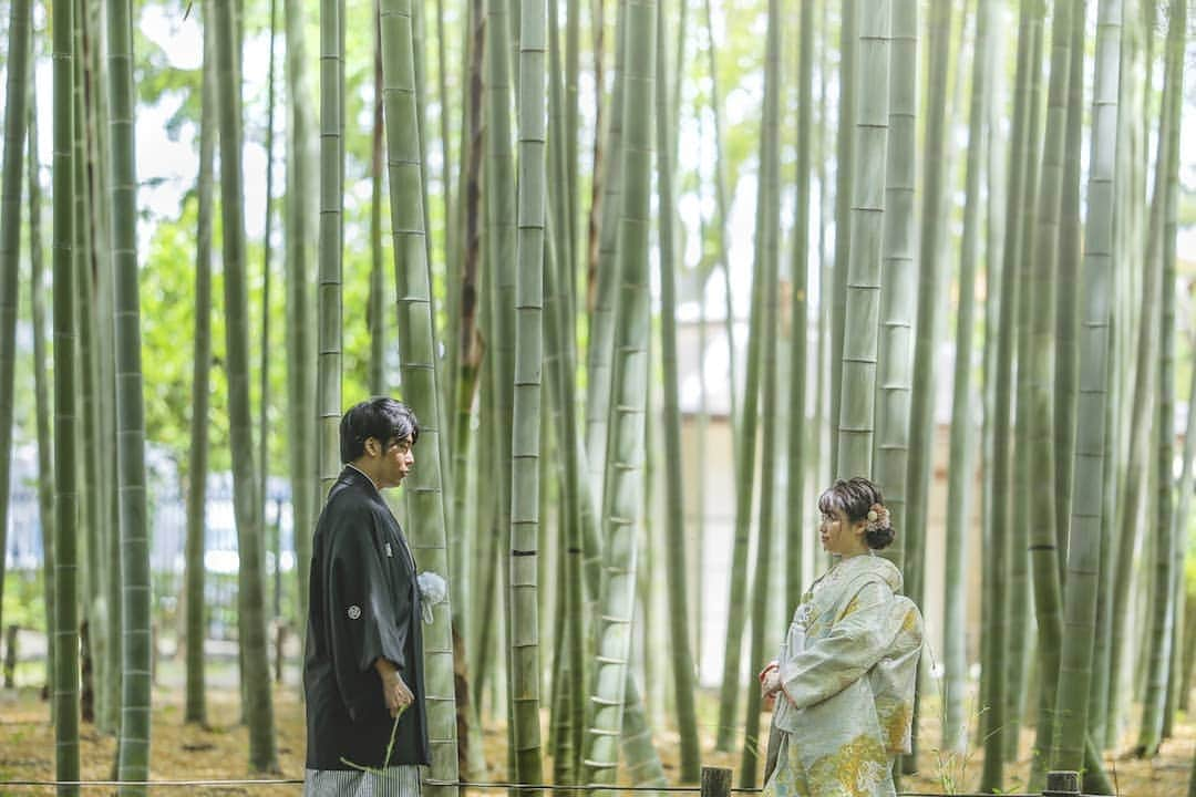 スタジオアクア新宿店さんのインスタグラム写真 - (スタジオアクア新宿店Instagram)「蘆花恒春園 竹林⠀ ⠀ ⠀ Photographer：髙山 省吾⠀ @s.takayama_wedding⠀ ⠀ Hair and make up：石塚 美月⠀ ⠀ 【年間30,000組の花嫁から選ばれるスタジオ】⠀ 結婚写真・フォトウェディング専門のフォトスタジオ⠀ ▹▸ 全国17店舗展開⠀ AQUA(渋谷/新宿/浅草/横浜/富士),⠀ TVB(大阪/京都/奈良/神戸),⠀ 名古屋8, 福岡AN,沖縄SUNS, 北海道SOLA⠀ 公式アカウント➜ @decollte_weddingphoto⠀ ⠀ #和装ロケーション #和装 #色打掛 #紋付袴⠀ #d_weddingphoto #studioaqua #スタジオアクア #スタジオアクア新宿店 #ウェディングフォト #ブライダルフォト #フォトスタジオ #フォトウェディング #前撮り #後撮り #結婚写真 #和装前撮り #和装後撮り #ウェディング #ブライダル #プレ花嫁 #卒花嫁 #結婚式準備 #関東花嫁 #2019夏婚 #2019秋婚 #令和婚 #ヘアメイク #ブライダルヘア」6月14日 1時18分 - studioaqua.shinjuku