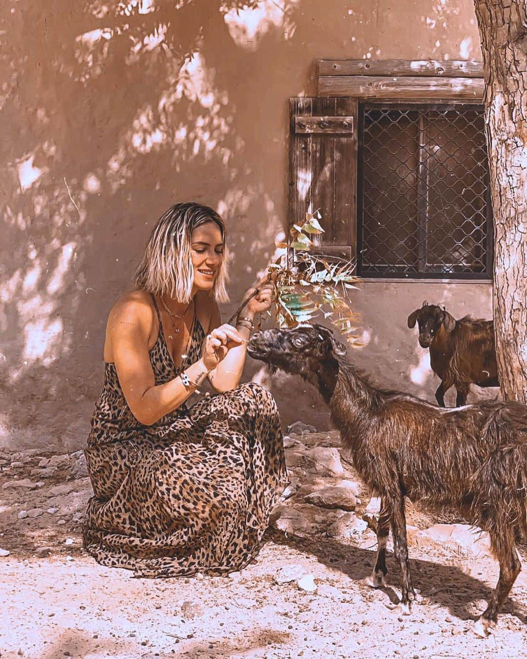 Giovanna Ewbankさんのインスタグラム写真 - (Giovanna EwbankInstagram)「#TBT recente do coração cheeeeio de saudades das minhas amiguinhas cabrinhas de Oman, rsrsrs ❤️🐐🐐🐐🇴🇲」6月14日 1時25分 - gioewbank