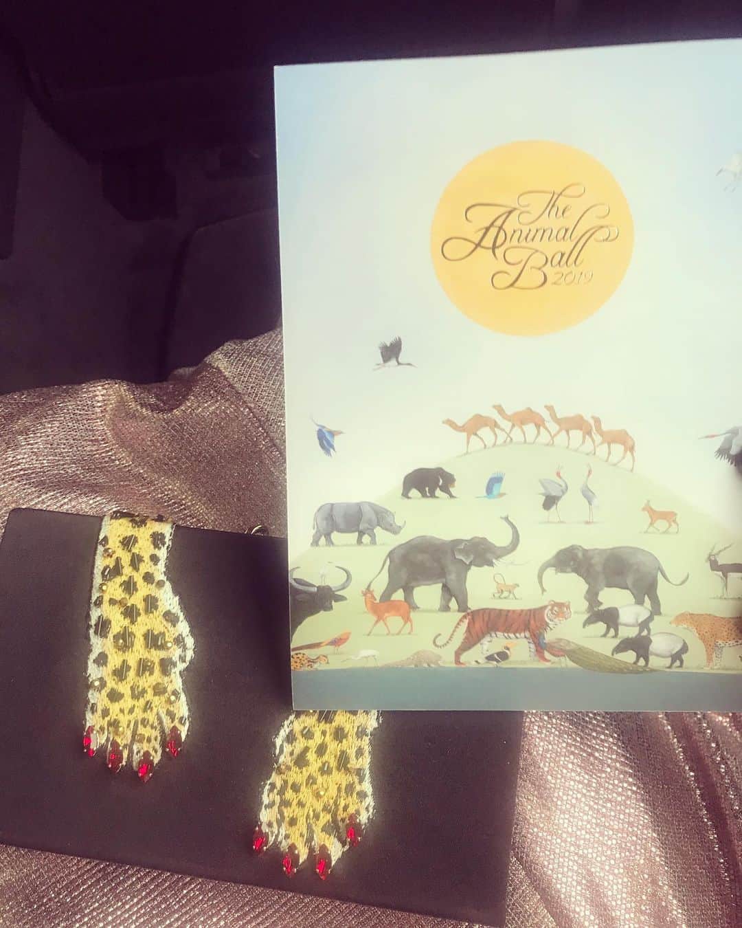 のインスタグラム：「#animalball2019 🐆🐆🐆」