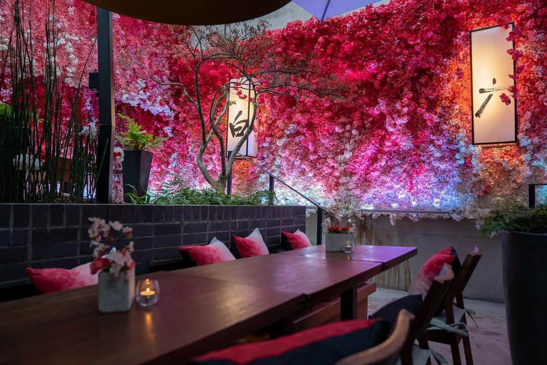 V Magazineさんのインスタグラム写真 - (V MagazineInstagram)「For our inaugural Summer Guide post, we’re highlighting the Hanami Terrace at the @nobulondonshoreditch! The terrace, in collaboration with @suntorywhisky, brings the best of modern Japanese life and tradition to London’s vast, multicultural landscape. Head to Stories to learn more!」6月14日 4時26分 - vmagazine
