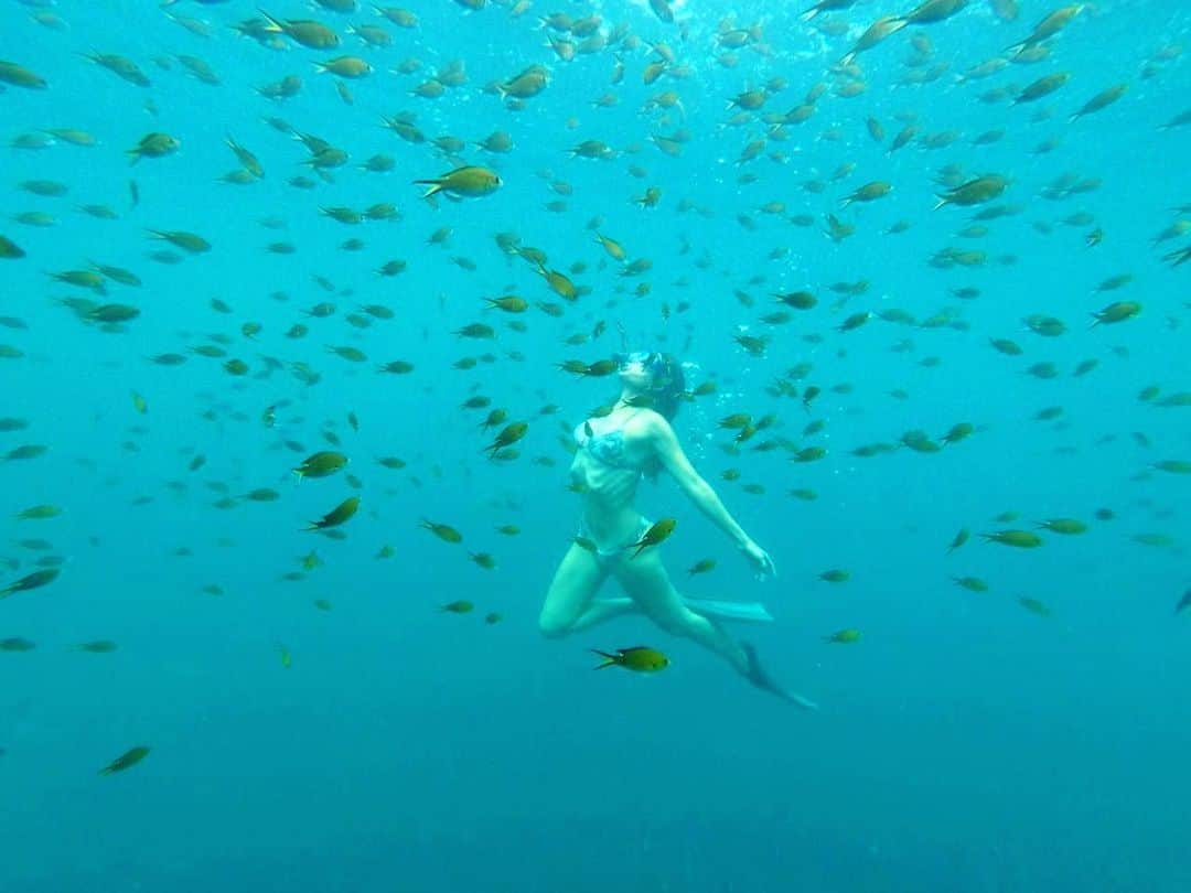 カロウ･カストロさんのインスタグラム写真 - (カロウ･カストロInstagram)「“...ela achou que não fosse segurar a onda, mas lembrou que é o próprio mar.” 🐚🌊🐠💙 Saudade já, Noronha! #tbt de anteontem  #noronha #sereismo #underwater」6月14日 5時58分 - castrocarol