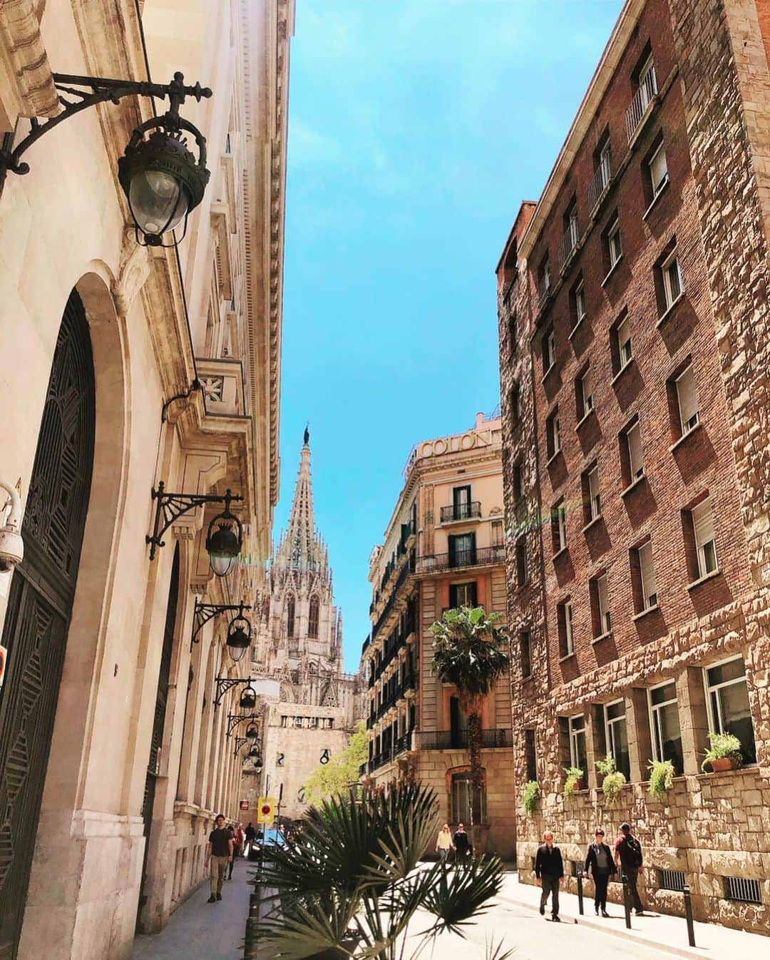 相知明日香さんのインスタグラム写真 - (相知明日香Instagram)「🇪🇸 | Barcelona | SPAIN . La Catedral de la Santa Creu i Santa Eul alia. . バルセロナで最も古い建築物のひとつ サンタエウラリア大聖堂⛪️ 日曜日だったので カテドラルの前でカタルーニャの民族音楽 そして民族舞踏「サルダーナ」も見れました🙈✨ バルセロナ。街の雰囲気が明るくて素敵🌼 この日はdualisメンバーとスタッフさん揃って観光しました🇪🇸 . #あすかの旅スタinSPAIN #あすかの旅スタinSunPrincess #JTBSUNPRINCESSWORLDCRUISE2019 #SunPrincess #WorldCruise #Cruise #JTB #Barcelona#SPAIN#Travel#Traveler#Violinist#Artist#love#happy#相知明日香#旅するヴァイオリニスト#旅#旅行#ヴァイオリン#音楽#サンプリンセス#クルーズ#スペイン#バルセロナ#🇪🇸#サンタエウラリア大聖堂#カテドラル」6月14日 5時59分 - asukalohappy