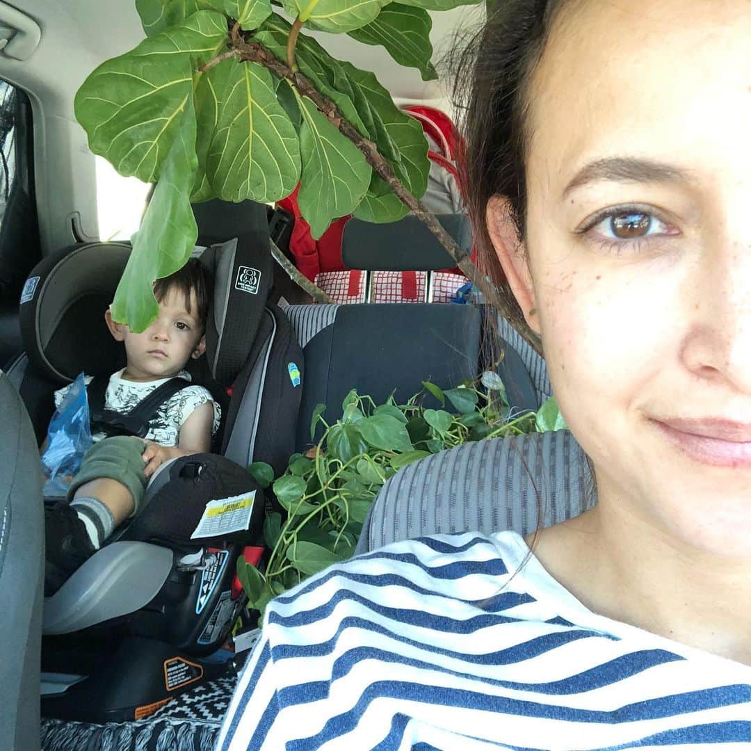 のインスタグラム：「My phone made me a video this morning about what I was doing a year ago (up in the #igstories ) and when I was looking at the photos around that time this one came up. This was a hot hot day about a year ago when we moved all my belongings out and made my car look like a beautiful jungle! Cannot wait to have another studio/space 今朝起きたら電話が作ってくれた映像 (ストーリーに載せました！) で一年前の写真を見てたらこの写真が出てきて。これはめっちゃ暑い日にスタジオからの引越しをした日！車の中が素敵なジャングルになった時。懐かしい〜またいつかスタジオが欲しいわぁ〜 #ayearago #love #plants #car #toddler #momlife #summer #summervacation #nomakeup」