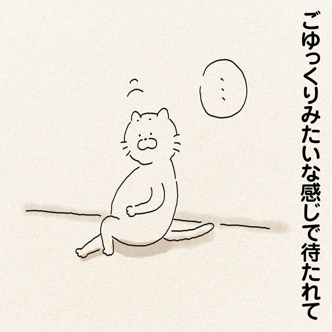 つむぱぱさんのインスタグラム写真 - (つむぱぱInstagram)「・ ・ 何が楽しいのかわかりませんが、トイレの水が流れるのを観察するのが趣味のようです。 ・ #猫 #はじめ #マンガ」6月14日 18時14分 - tsumugitopan
