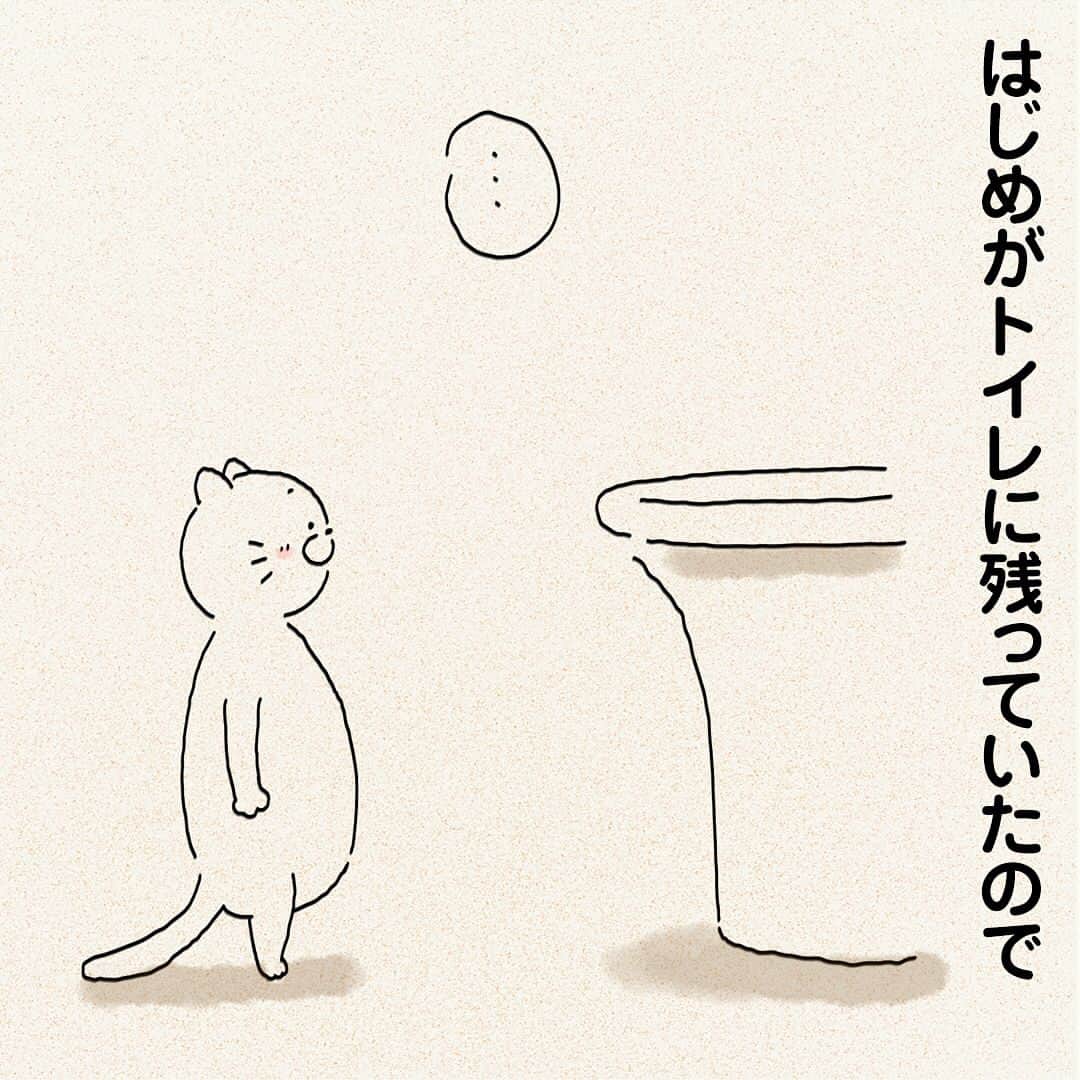 つむぱぱさんのインスタグラム写真 - (つむぱぱInstagram)「・ ・ 何が楽しいのかわかりませんが、トイレの水が流れるのを観察するのが趣味のようです。 ・ #猫 #はじめ #マンガ」6月14日 18時14分 - tsumugitopan