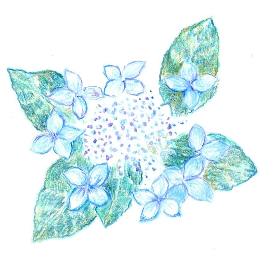 青山フラワーマーケットのグルメインスタ