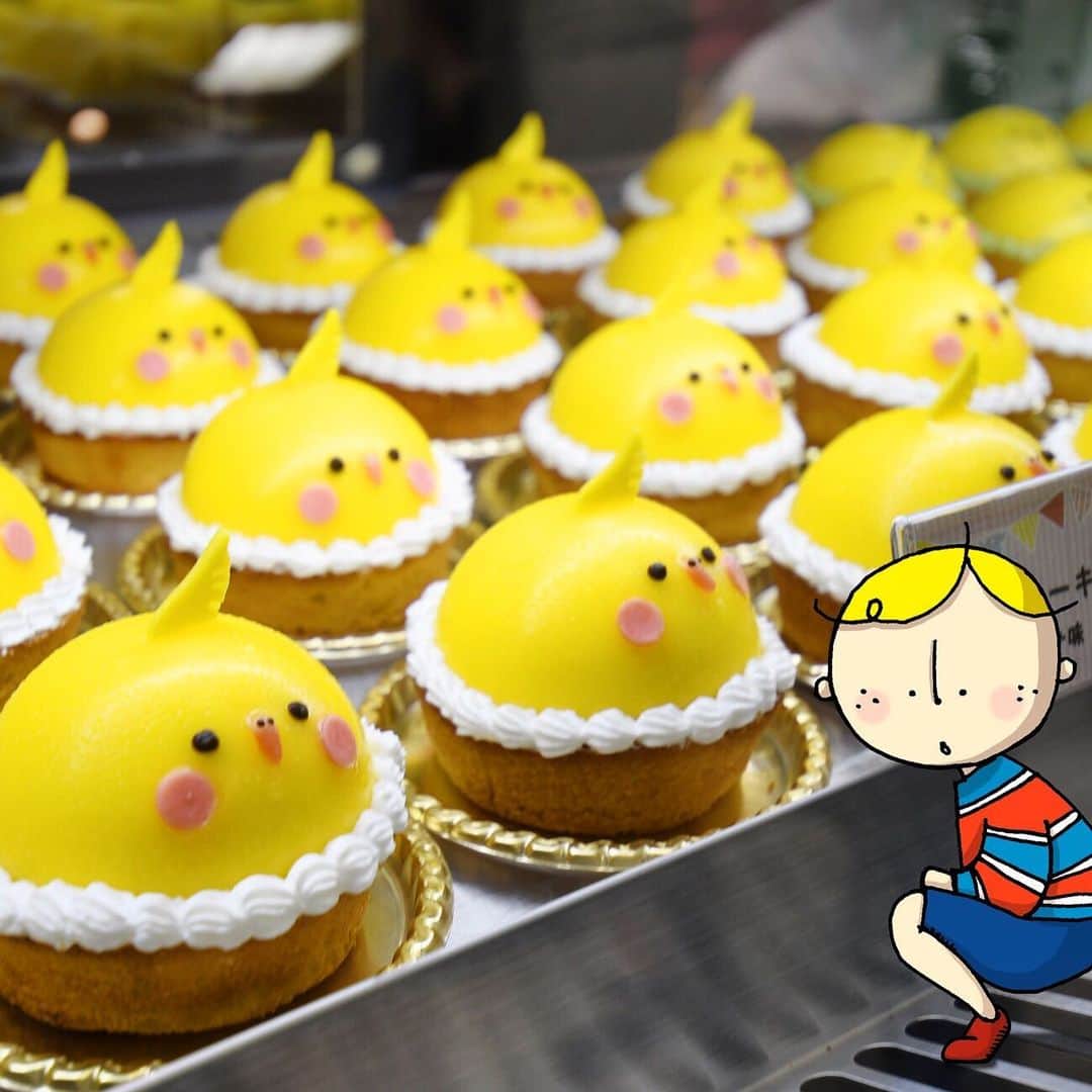 Osaka Bob（大阪観光局公式キャラクター）さんのインスタグラム写真 - (Osaka Bob（大阪観光局公式キャラクター）Instagram)「Kotori Cafe Littlest Birds That Make Hearts Sing * Wow!!めっちゃKAWAII~ 「ことりカフェ」のオカメインコケーキ☆ * #KotoriCafe #ことりカフェ #kawaii #osakasweet #OSAKA #maido #withOsakaBob」6月14日 18時34分 - maido_osaka_bob