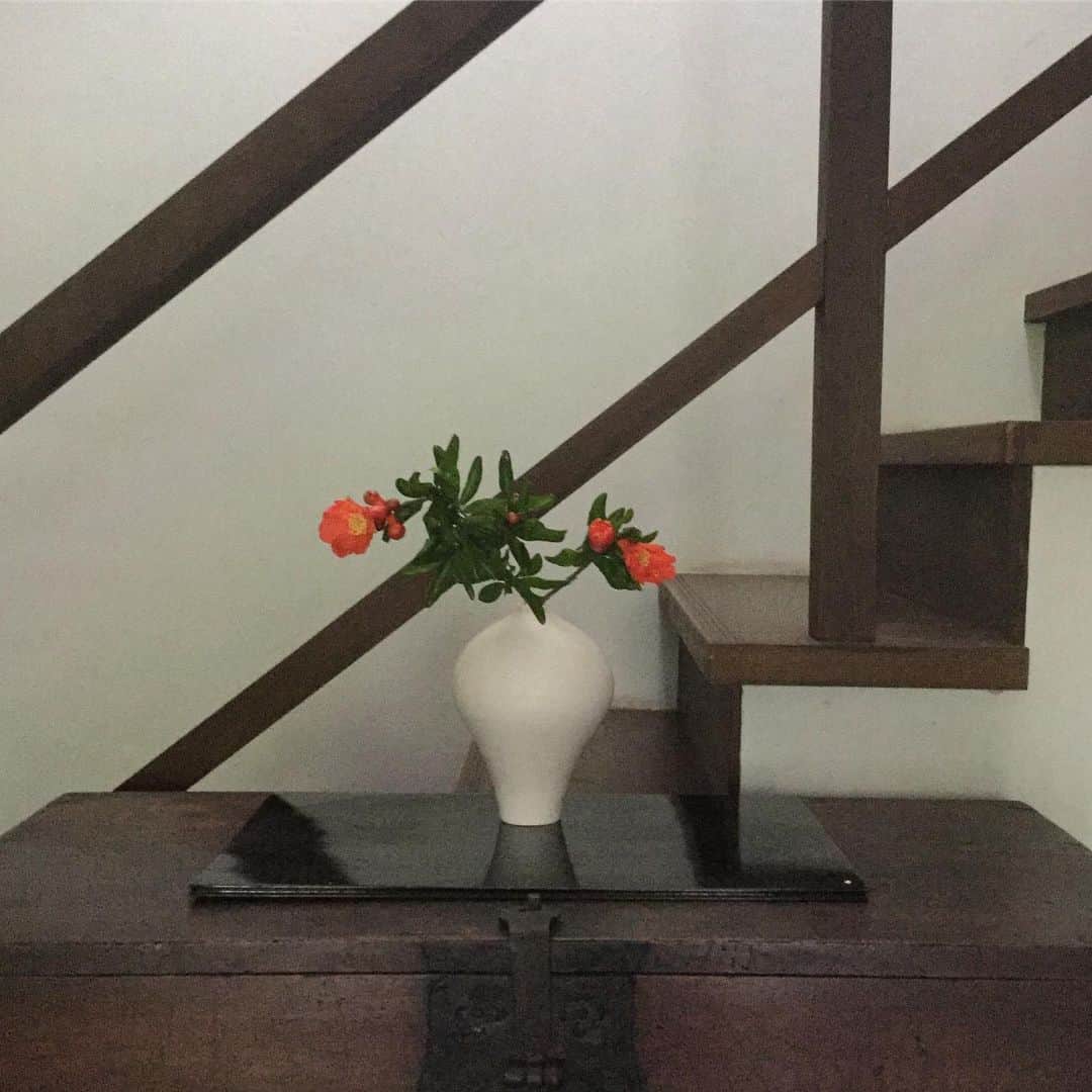 ヒロミチナカノさんのインスタグラム写真 - (ヒロミチナカノInstagram)「2日前に採ってきた柘榴の花、花が綺麗に咲いたので枝を整えて 黒田泰蔵の白磁の花器に入れました。 #flowers ＃flowerinstagram  #taizokuroda」6月14日 18時50分 - hiromichinakano_official