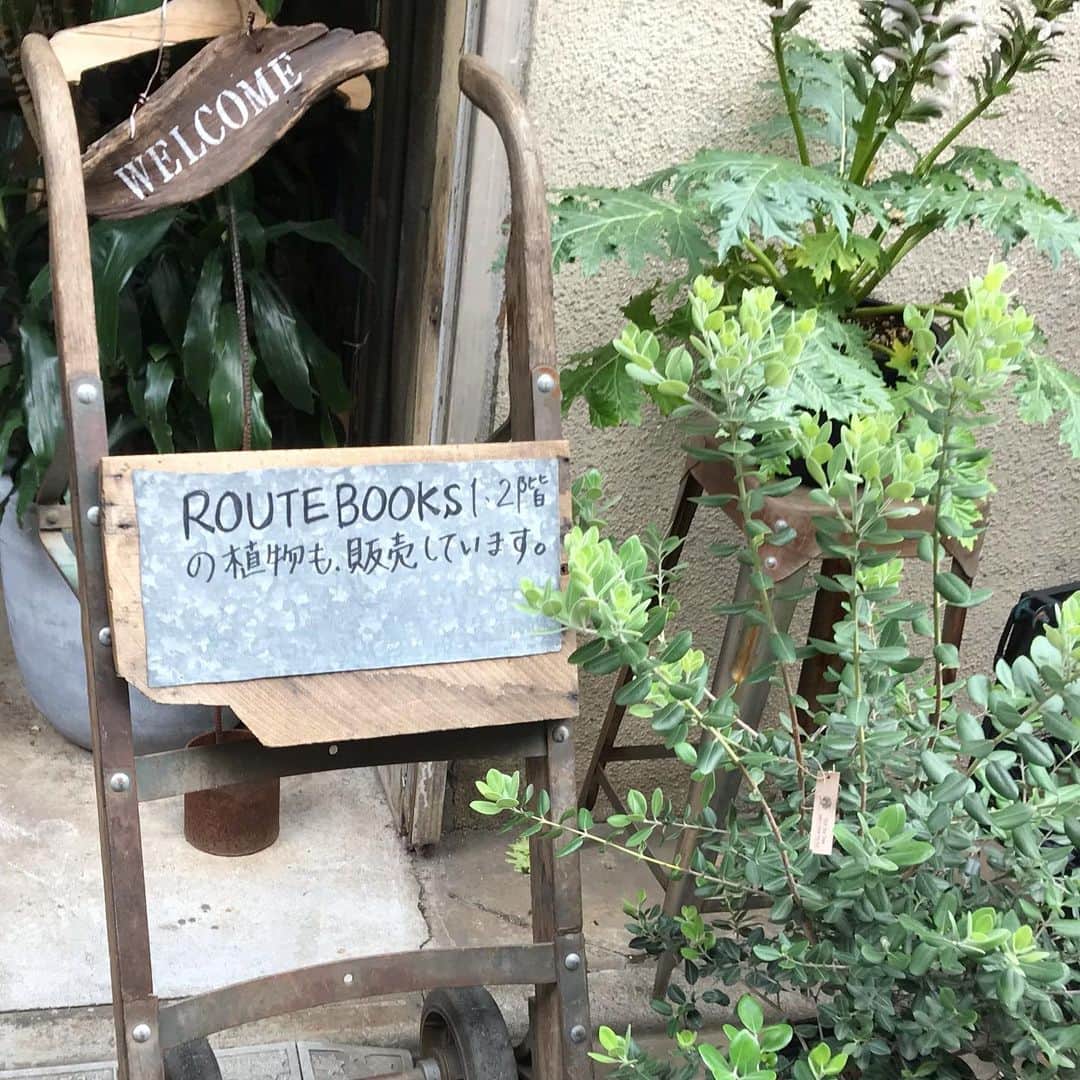 巻上公一のグルメインスタ