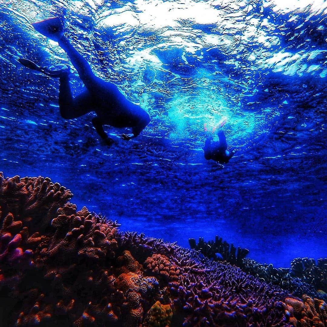 Be.okinawaさんのインスタグラム写真 - (Be.okinawaInstagram)「Where's your favorite diving spot in Okinawa? Let us know in the comments! 📷:@astronaut_in_asia  #minnaisland #motobu #motobutown #민나섬 #모토부 #水納島 #本部 #本部町 #croissanisland  #diving #beokinawa #visitokinawa」6月14日 19時14分 - visitokinawajapan