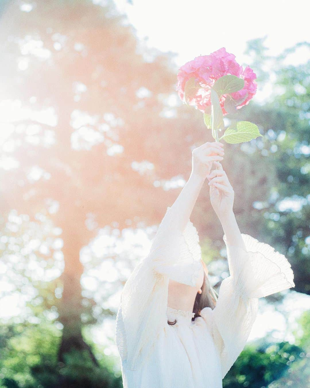 haru wagnusさんのインスタグラム写真 - (haru wagnusInstagram)「High splashing  ㅤㅤㅤㅤㅤㅤㅤㅤㅤㅤㅤㅤㅤ ㅤㅤㅤㅤㅤㅤㅤㅤㅤㅤㅤㅤㅤ 夏色の光がやっぱり 一番青春を感じるなぁ。 ㅤㅤㅤㅤㅤㅤㅤㅤㅤㅤㅤㅤㅤ #waterdrop」6月14日 19時31分 - wagnus