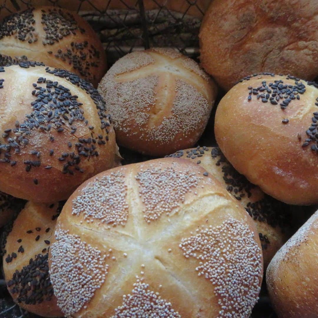 魔女菅原のグルメインスタ