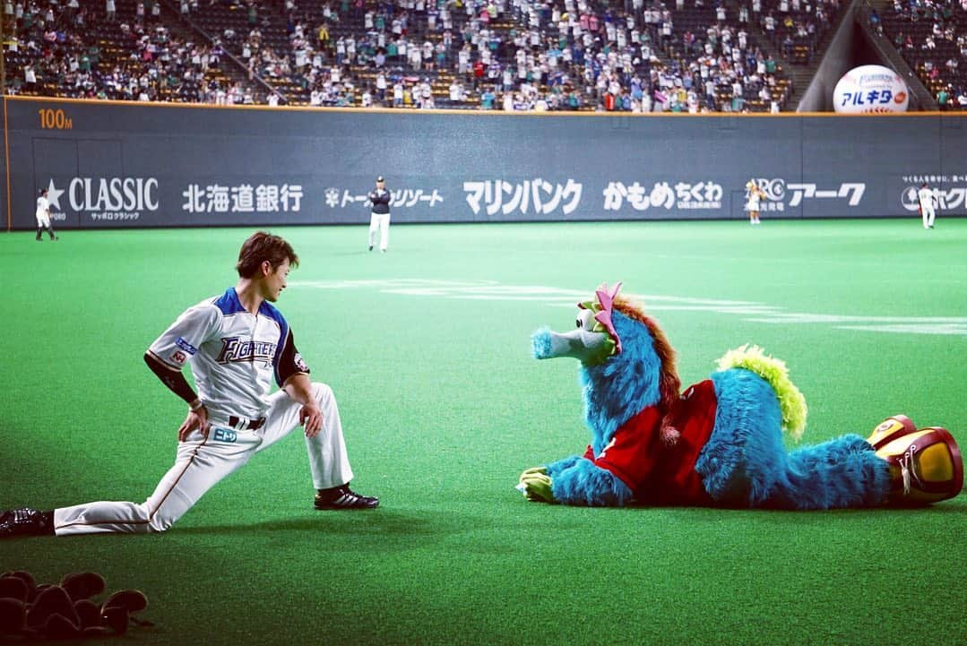 北海道日本ハムファイターズ フレップさんのインスタグラム写真 - (北海道日本ハムファイターズ フレップInstagram)「ポリーだよ〜❤️ 昨日は遅い時間までみんな応援ありがとう✨✨ ポリーはまだちょっと眠い...😴😴😴 ・ 昨日までの二日間、スラィリーが広島から来てくれました🙌🙌🙌 モフモフしてて、面白くて、人懐こくて、一緒にいるとみんなをハッピーにしてくれるスラィリー❗️ 今年も会えて嬉しかったよ💕 (スラィリーにもポンポン取られた🤣そして西川選手とも仲良しになってた🤣) カープファンのみなさんも変わらず暖かくて、優しい方ばかりでした✨ ポリーもまた広島に行きたい‼️ 札幌ドームにはポリーの尻尾やお耳をつけたちっちゃなポリーが何人も会いに来てくれるんだけど、なんと今回広島からちっちゃなスラィリーが来てくれてたの〜🥰🥰🥰可愛かった〜💕 スラィリーが紹介してくれてポリーもお友達になれたんだよ☺️💕 こういったちっちゃなお友達みんなが、これからもマスコットや野球のことをずっとずっと好きでいてくれるといいなー⚾️✨✨✨ ・ そして、今日からはジャイアンツ戦✊ ポリーは今日も全力で応援❣️ がんばるぞーーー❣️😆😆😆 🐿 ❤️ 🐿 ❤️ 🐿 #lovefighters #驀進 #飛び出せ新時代 #ポリーポラリス #ポリー #スラィリー #ちびスラィリー #西川遥輝 #明日からはジャビットくんが来るよ #楽しみだね」6月14日 11時09分 - frep_the_fox