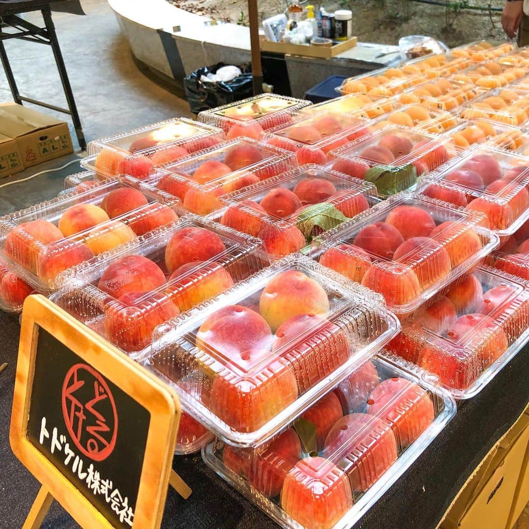 キャナルシティ博多のグルメインスタ