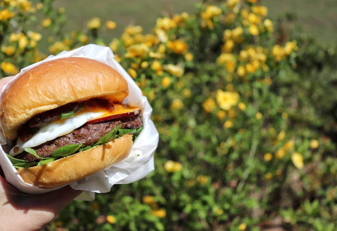 THE COUNTER JAPAN公式さんのインスタグラム写真 - (THE COUNTER JAPAN公式Instagram)「晴れた日の楽しみは、自然の中で食べる美味しいハンバーガー🍔💕 #thecounterjpn#hamburger#dailyfoodfeed#肉料理#肉好き#料理#六本木グルメ#肉好きな人と繋がりたい#食記#おいしいやつ#ザカウンター#ハンバーガー屋#肉好き女子#グルメバーガー#ハンバーガー作り#食べるの大好き#グルメ巡り#ハンバーガー部#男子ごはん#お肉大好き#男飯#花#旨い#グルメ旅#テイクアウト#おいしい時間#デリスタグラム#がっつり#食べ物グラム#おそとごはん」6月14日 12時08分 - thecounterjpn