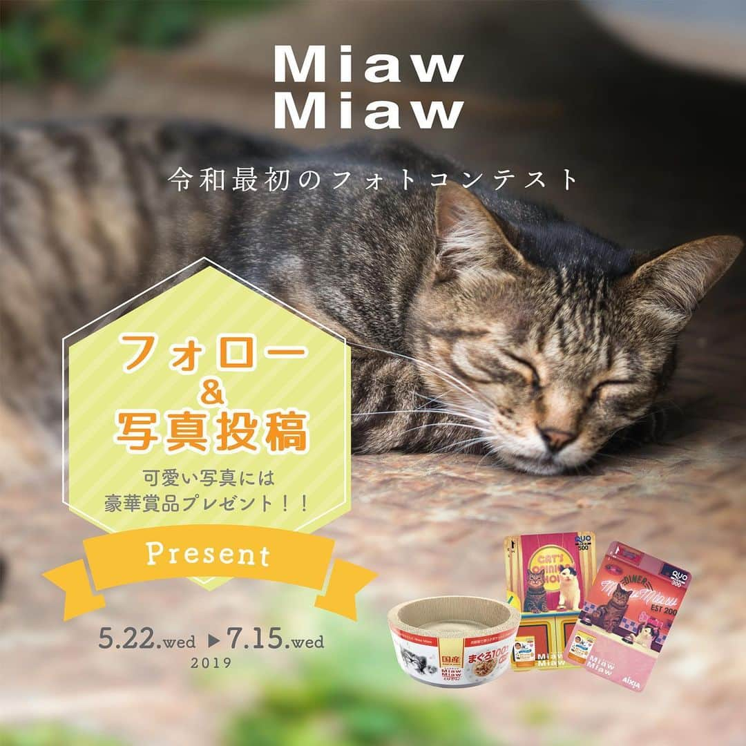 MiawMiawのインスタグラム