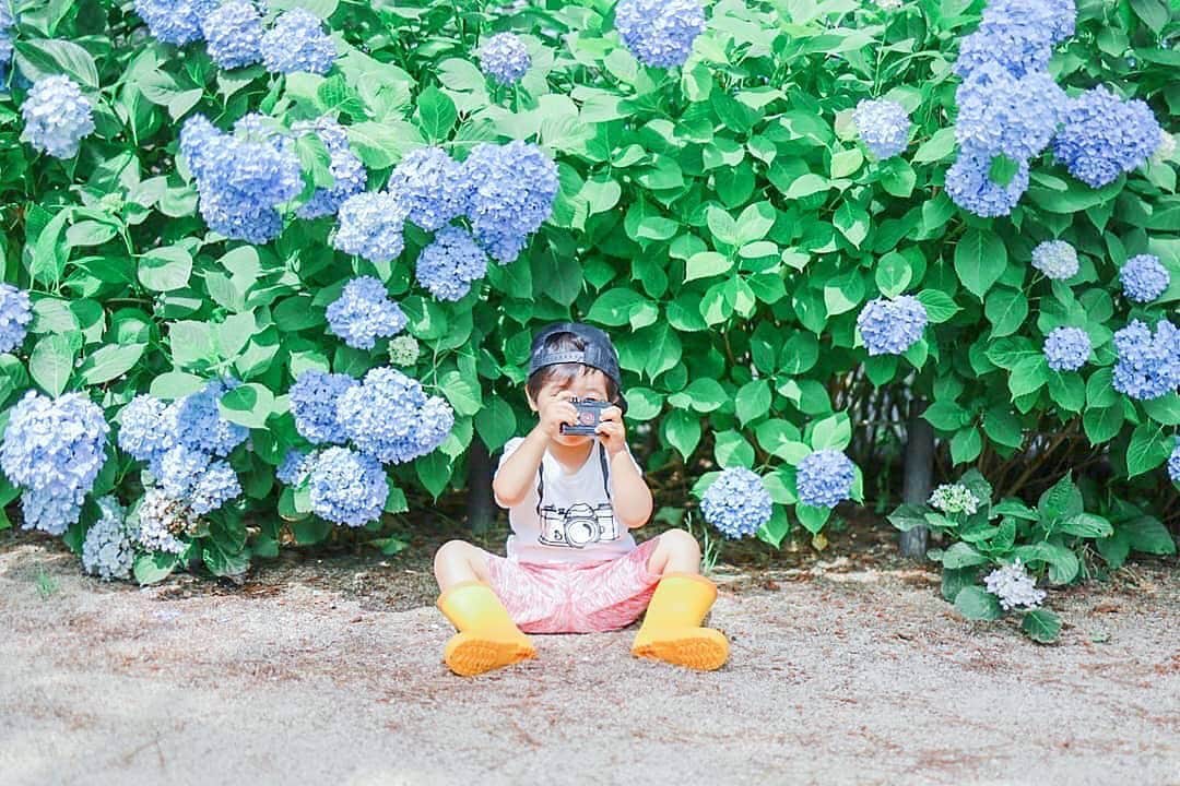 タビスルキッズのインスタグラム：「今週もお疲れさまでした😊 現在、「初夏」を楽しんでいるお写真・動画を募集中です✨ 本日の #タビスルキッズ はこちら💕 📷 @__yt.5104__さん 🚩兵庫県・西宮市 「夙川河川敷緑地(夙川公園)」 🎙ご本人コメント 1年前と同じ服装で撮りたくて、青いズボンを履かせようとしたら 「ゆうちゃんは赤がいいの！赤が気に入ってるのぉ～！🌋」 って😅 母が選んだ服はいつまで着てくれるんかな。 ﻿﻿﻿﻿﻿＊＊＊＊＊＊ 「子どもの洋服選び」わかります😆 いつも、かわいいお写真ありがとうございます💕」