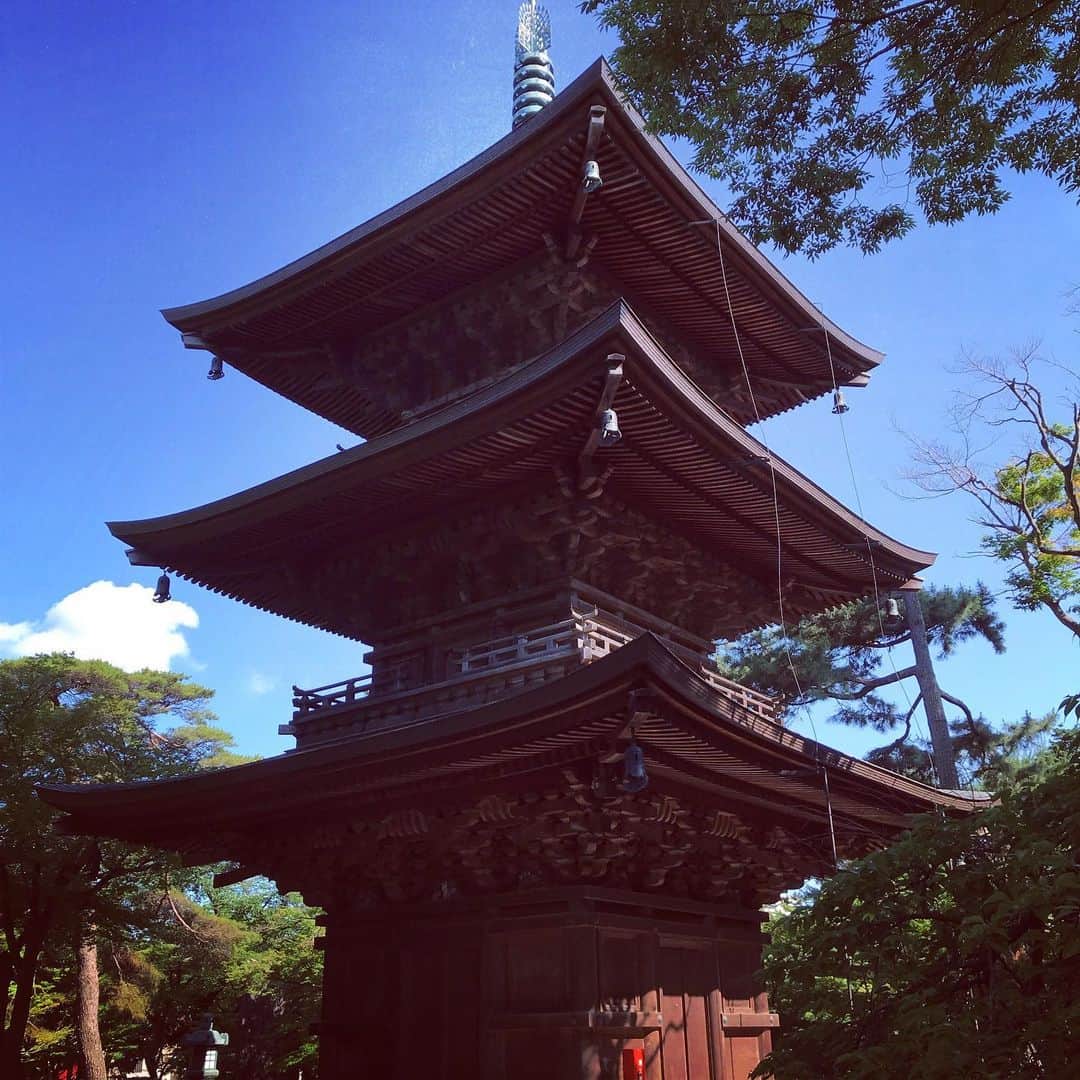 吉村民さんのインスタグラム写真 - (吉村民Instagram)「豪徳寺。  ここは寛永10年から 彦根藩の井伊家の菩提寺になったということで、 とてもとても立派なお寺です。 「豪徳寺」という存在は知っていたものの 井伊家の菩提寺だということも、こんなに立派だということも知りませんでした。  都会の真ん中にありながら 緑が豊かで、空気が澄んでいました！  そして、幕末の彦根藩の藩主、井伊直弼のお墓があるのも豪徳寺なんです！  豪徳寺といえば、二代藩主の井伊直孝が、ここの猫ちゃんの招きによって、雷難を逃れた、という言い伝えがあり、豪徳寺では今でも招き猫が大事にされています。  が、しかし、 幕末好きの私からすると、あの、井伊直弼のお墓が豪徳寺にある！というのが 萌えポイントです。  井伊直弼といえば、彦根藩の藩主で、江戸幕府では大老を勤め、日米修好通商条約に調印し、日本の開国と近代化を進めた人です。桜田門外の変で攘夷派に暗殺されてしまい、、、暗殺されるってことは 良くないのかな？なんて思ってしまってましたが、  幕末は良い悪いではなく、 自分が信じる道と違えば暗殺してしまえ！という時代。 幕末に流行っていた尊王攘夷派からすると、 開国するなんてけしからん！って暗殺されてしまった訳です。 でも結局、幕末に尊王攘夷派だった倒幕派の人達は、明治維新後にどんどん海外と交流し、近代化していったので、井伊直弼さんは 暗殺される必要なかったのに。。。と思います。 しかも本心は攘夷派だったのだとか。  以前、滋賀県の彦根城を訪れた時に お城と街の雰囲気があまりにも立派でステキなことに感動。 今でもこんなに土地の人たちに大切にされているのだから、井伊直弼だって きっと立派な藩主だったに違いない！と 勝手に思っておりました。  そんな井伊直弼のお墓があるということで、 今度は1人でゆっくり御墓参りにいきたいと思ってます。  #歴史 #歴女 #幕末 #幕末好き #豪徳寺 #彦根藩 #井伊直弼 #世田谷 #japanesehistory #temple #招き猫 #民の歴史散歩」6月14日 12時52分 - xxtamixx.y