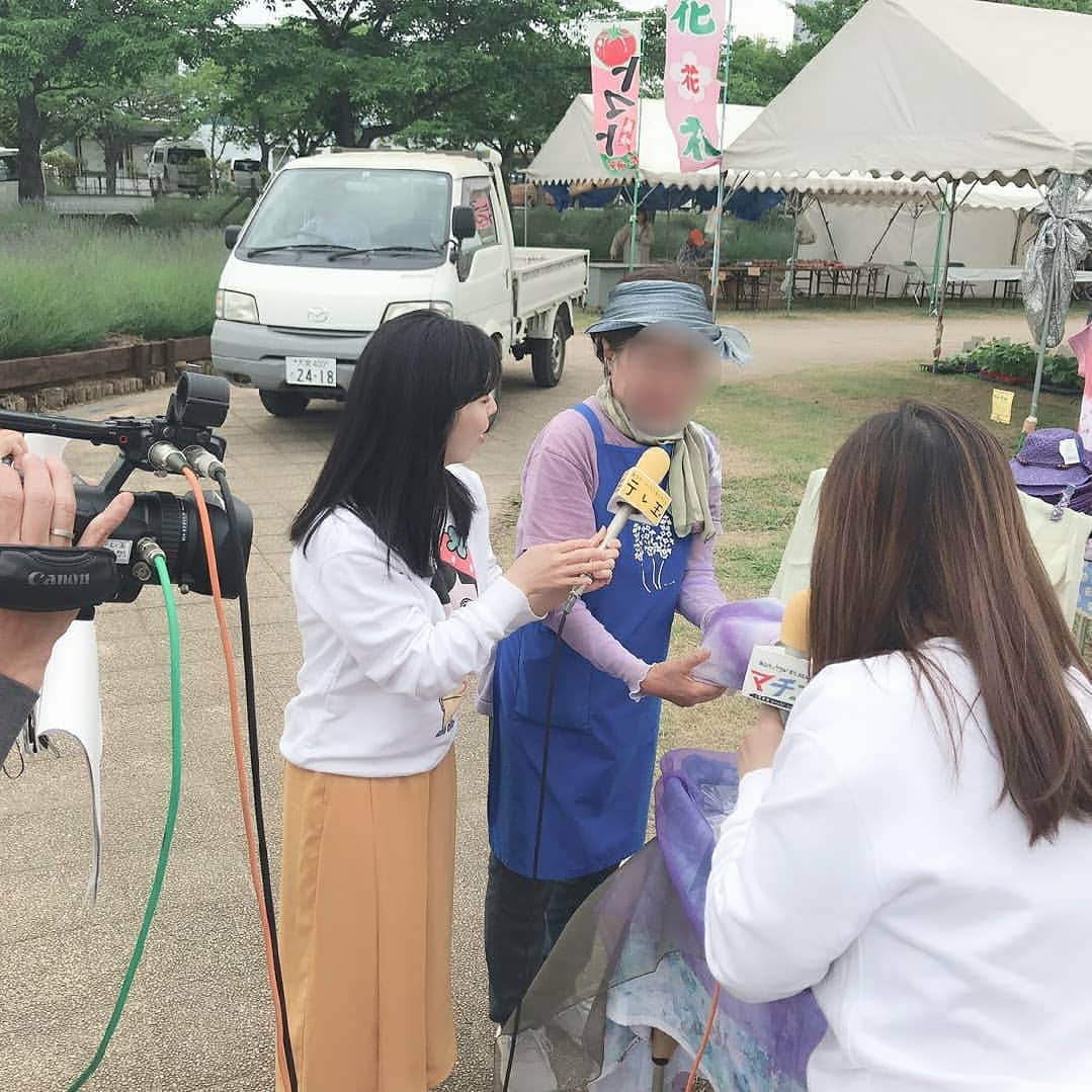 和泉杏さんのインスタグラム写真 - (和泉杏Instagram)「12日は、テレビ埼玉『マチコミ』 ありがとうございました(*^^*) . 久喜市菖蒲町の あやめ・ラベンダー ブルーフェスティバルから中継でした！ . 11,000株もあるラベンダー！ すごい！！ いい香り！！ . 天気がいい日は、もっと香りが強く出るそうです♪ . たくさんお店をまわるから、バタバタした瞬間もありました（笑） . 皆さん優しくて、協力体制抜群で、ありがとうございました♪♪ 23日までやってるそうなので、是非♪ . SNSあげていいか許可撮ってなかったので、モザイクにより怪しい写真になってます（笑） . ラベンダーの香りがする枕とか、お母さんが好きっぽいなーと思って、色々買っちゃいました(*´∀｀)♡ . あげるの楽しみ♡ . . . #ラベンダー #あやめラベンダーブルーフェスティバル #ブルーフェスティバル #フェスティバル #つまりフェス #ノリノリ #あげあげ #埼玉県 #久喜市 #菖蒲町 #23日まで #テレ玉 #テレビ埼玉 #マチコミ #ハルカラ」6月14日 13時27分 - izumikyou