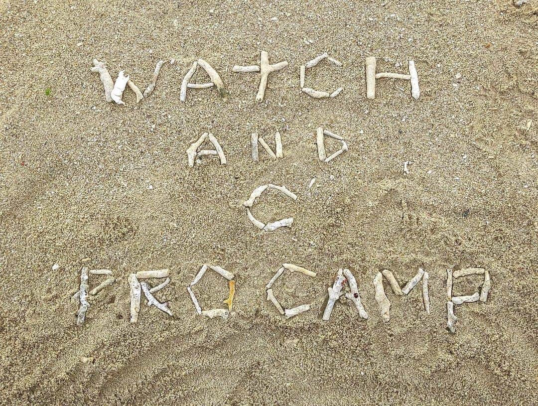 青木康平さんのインスタグラム写真 - (青木康平Instagram)「Watch&C procamp2019 in OKINAWA🏝  DAY7!!!最終日!! 昨年初めてのチャレンジの沖縄キャンプが本当に最高だったから、今年も来ました！ 結果やっぱり沖縄最高🤲🤲怪我人もなく無事に終わりました。👍👍👍 今回も浅黄さん、ゆきお、宮平君、ひさやのお父さん、さやかさん、またよしくん、ジョー、つばさ、しゃもさん、まえしろさん、ほかまさん、マリアちゃんの協力なしでは絶対に上手くいきませんでした。本当にありがとうございました！ そして参加してくれた選手達！みんなの本気で練習する姿は、毎年刺激をもらいます。本当にいいシーズンを過ごして欲しい。バスケットに集中出来る環境に🙏🙏🙏応援してます！ 最後にユーギ ！文句１つ言わず、最後まで一生懸命に指導してくれてありがとう！ 福岡も🙇🙇🙇 ＊ダイスのせいでクタクタ💦💦 @oki.asagi @creay_okinawa_shamo @yonatsuba33 @watarumiyahira  @tomokazu_abe @satoshi24 @iurgic @ark_official_ @elitusacademy @daichishimoyama8 @diceyamaguchi @giving.back.jf @sosuu @haleo_official @narito7 @kiichi_kikuyama @shinji__0 @ijutaka22  #watchandc#watchandcprocamp2019#OKINAWA」6月14日 13時49分 - cohey11