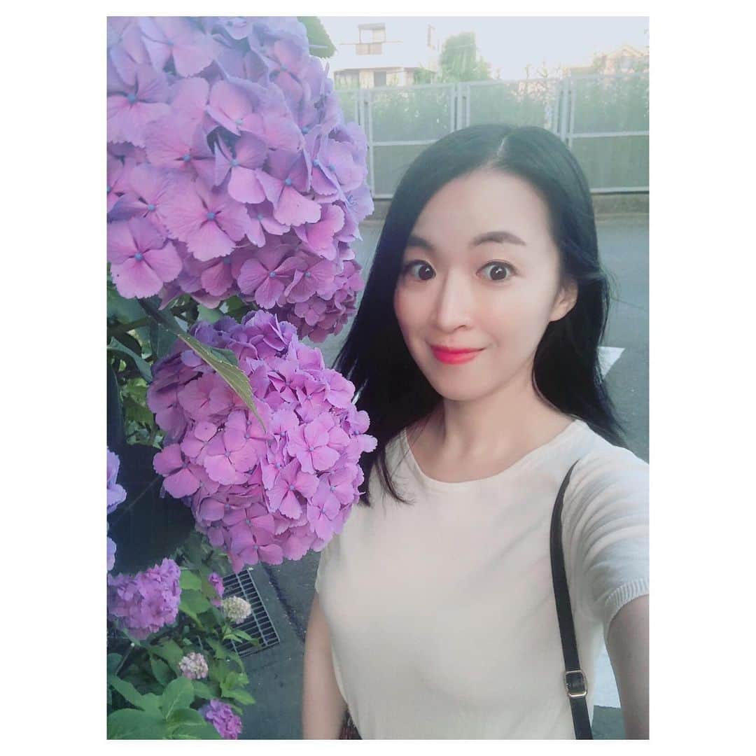 カン・ハンナのインスタグラム：「.﻿ ﻿ ﻿ 咲く時にいっぱいいっぱい咲きなさい💗 ﻿ ﻿ ﻿ 大好きな紫陽花の季節よ🥰 ﻿ ﻿ ﻿ ﻿ ﻿ ﻿ ﻿ #紫陽花 #一番好きなお花 #一番好きな季節﻿ #お花 #癒される #ootd #tokyolife ﻿#selfie ﻿ ﻿」