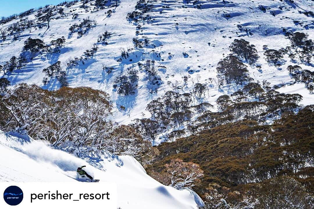 Subaru Australiaさんのインスタグラム写真 - (Subaru AustraliaInstagram)「Posted @withrepost • @perisher_resort Tuesday 18 June is your last chance to access Perisher all season long⛷🏂 Plus access to Falls Creek, Hotham 🇦🇺, Whistler Blackcomb 🇨🇦, Japan 🇯🇵& the best of the U.S! 🇺🇸 Get yours before it’s too late! ⏰👉🏼Link in bio @perisher_resort」6月14日 14時32分 - subaruaustralia