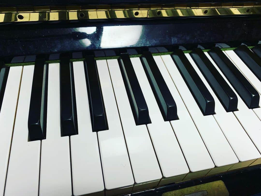 小田和奏さんのインスタグラム写真 - (小田和奏Instagram)「Coda Piano Trioは明日仙台へ。 宜しくお願い致します！」6月14日 14時48分 - kazusou