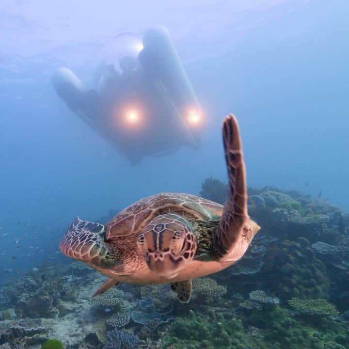 Australiaのインスタグラム