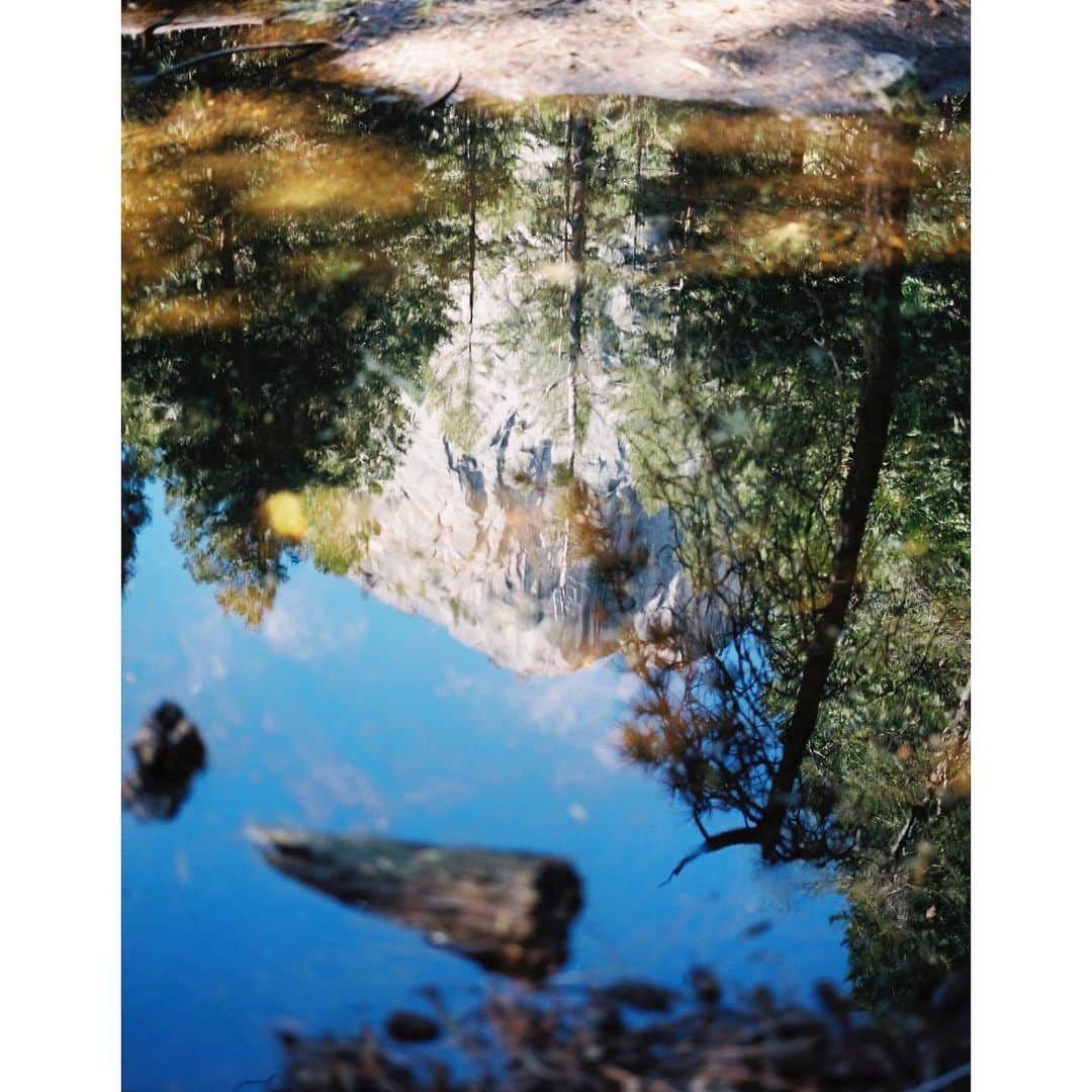 阿部裕介さんのインスタグラム写真 - (阿部裕介Instagram)「Favorite Photo!! . @thenorthfacejp  @rightup_inc  #yosemite  #yosemitenationalpark  #4x5film」6月14日 15時07分 - abe_yusuke