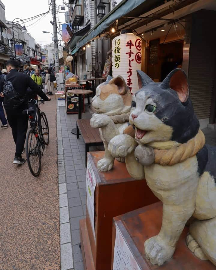 東京メトロ/Find my Tokyo.さんのインスタグラム写真 - (東京メトロ/Find my Tokyo.Instagram)「今日は、＠sumomonga0810さんのFind my Tokyo.です。このお写真の場所は、「谷中銀座商店街」。猫が多いことで有名な谷中銀座にピッタリな招き猫ですね。写真もとても可愛いです！＠sumomonga0810さん、ありがとうございます！  #谷中銀座 #findmytokyo #千駄木 #猫 #カメラ好きな人と繋がりたい #ファインダー越しの私の世界 【あなたのFind my Tokyo.を共有しよう】 ※参加方法が変わりました※ Find my Tokyo.ではあなたが見つけたさまざまな東京の街の「好き」を募集中！「#findmytokyo」をつけて投稿されたお写真をリポストさせていただきます。 . どこ行こう？と迷ったら?#findmytokyo?をチェック！」6月14日 15時14分 - challenge_find_my_tokyo