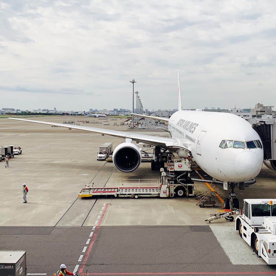 のインスタグラム：「JL0521, JA8978 搭乗なう。 #HND #CTS」