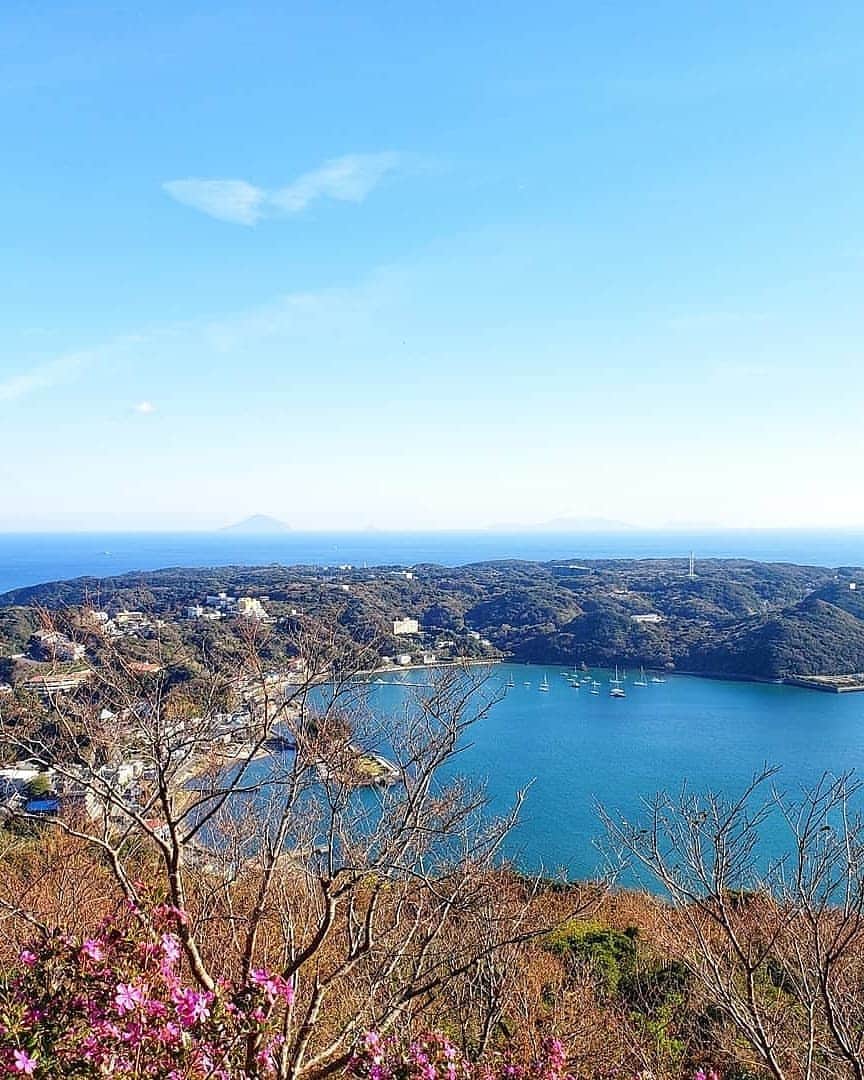 旅行比較サイト・トラベルコ 理想の旅を、いちばん安く。のインスタグラム：「ペリー提督が黒船を率いて来航したことで知られる下田。歴史の教科書でおなじみのこの地に #大人の修学旅行 してきました！  1枚目写真は下田駅からほど近い絶景ポイント、#寝姿山展望台 からの眺め。遠くにうっすら見える三角形は #伊豆大島 です。  2枚目写真は #ペリーロード 。ノスタルジックな石畳の小路にお洒落なカフェや雑貨屋さんが建ち並び、目移りしまくりでまっすぐ歩けません(笑)  海あり、山あり、幕末情緒あり。さらに今なら #下田公園 のあじさいがちょうど見ごろです。フォトスポットいっぱいの港町、ぜひ訪れてみてください♪ * * * あなたが訪れた旅先での写真に《 @travelko_chan 》《 #トラベルコ 》《 #travelko 》とタグ付けして投稿してみてください！こちらのアカウントで紹介させていただくかもしれません♪ * * * #下田 #伊豆 #南伊豆 #絶景 #国内旅行 #japan #travel #trip #japantrip #japantravel #ig_japan #visitjapan #sightseeing #フォトジェニック #旅行好きな人と繋がりたい #写真好きな人と繋がりたい #女子旅 #一人旅 #カメラ女子 #カメラ男子 #instatravel #travelgram #travelko #トラベルコ #トラベルコちゃん @shimodatourismassociation」