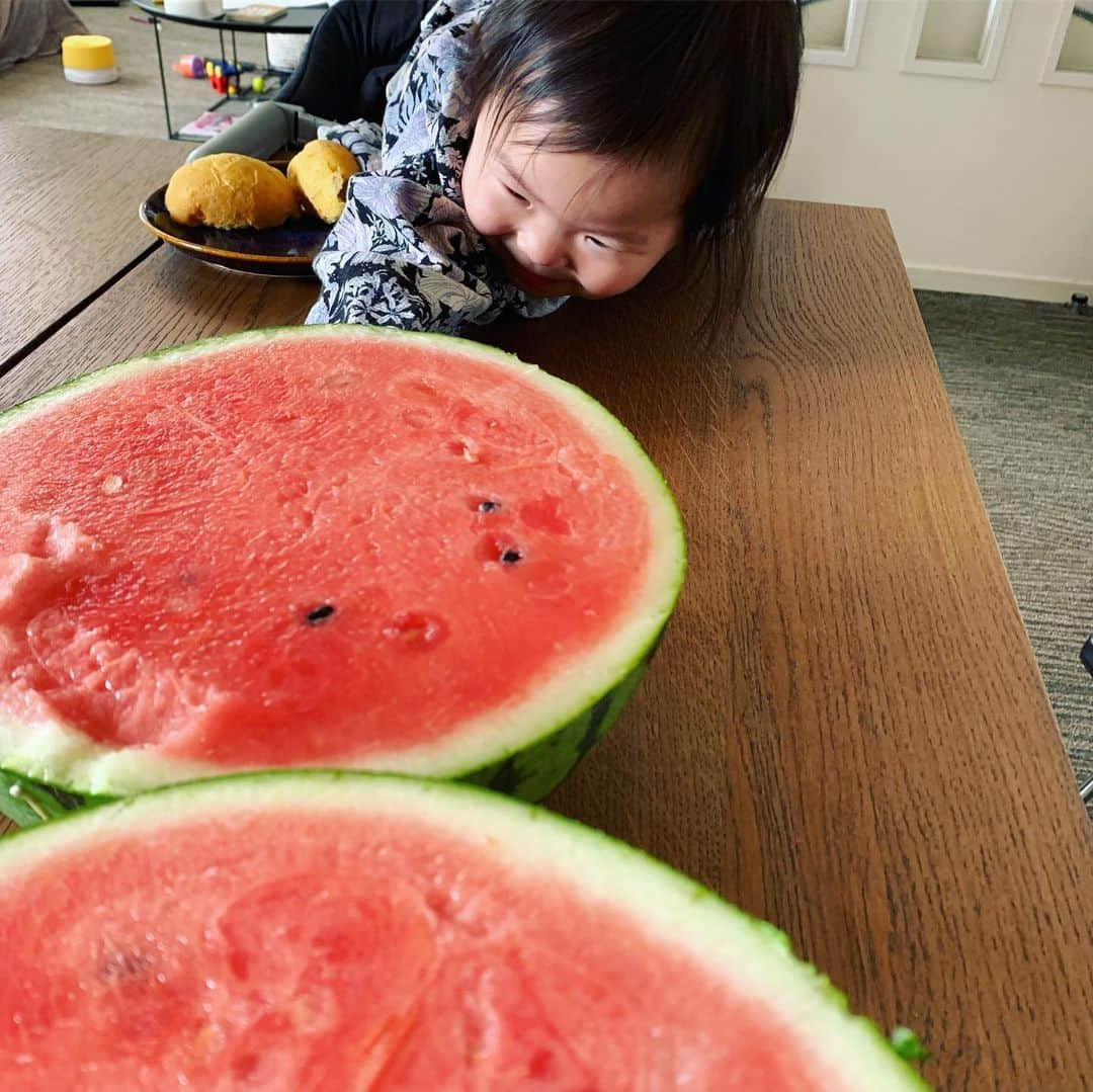 鈴木六夏さんのインスタグラム写真 - (鈴木六夏Instagram)「キューピー初めてのスイカに大興奮😆 毎回ご飯のたびにスイカを 「いーちーごー！いちーごーぉー！」と催促がすごい🤣  赤いけどイチゴじゃなくてスイカだよ。笑。」6月14日 15時27分 - rikuka.62